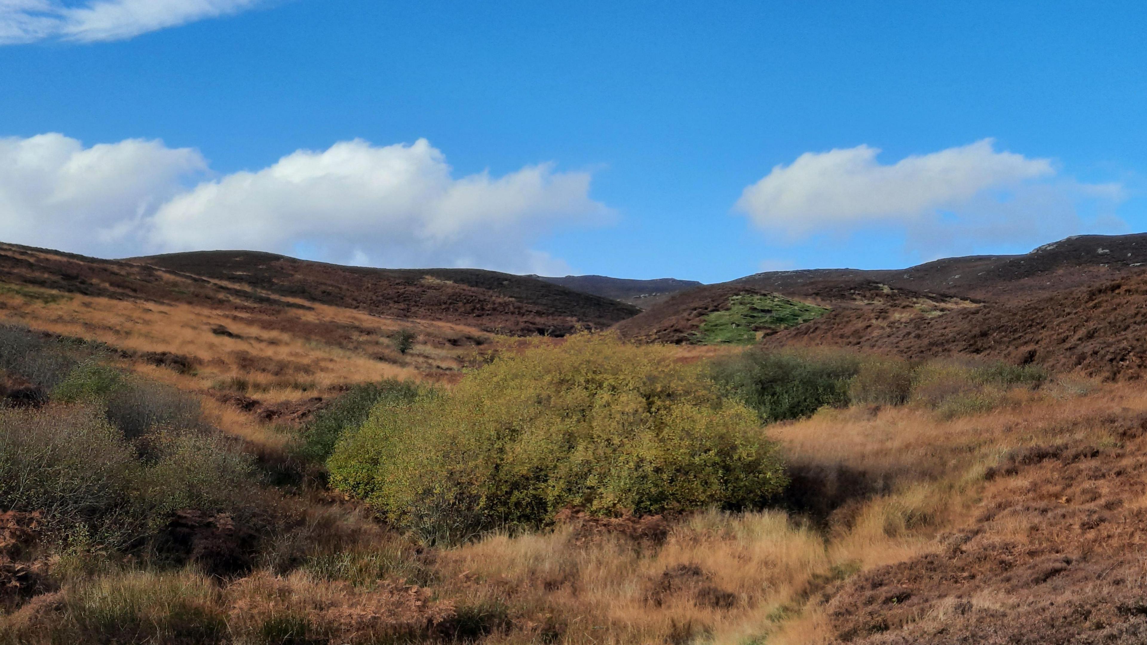 Rolling moorland hills, brown and purple in colour, with a blue sky above. 