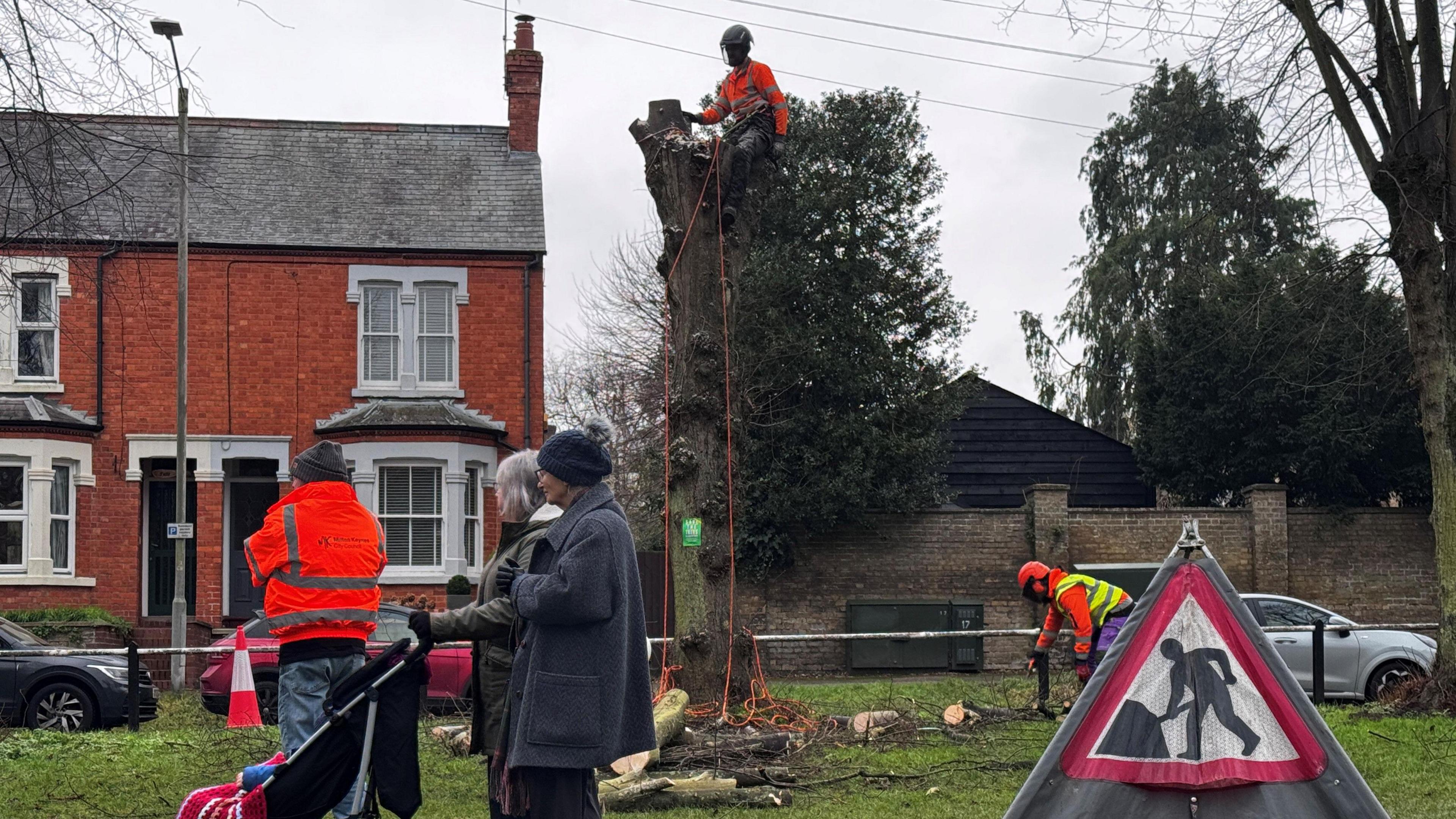 A man in a high-vis jacket sits in a tree with debris and branches at the foot of it