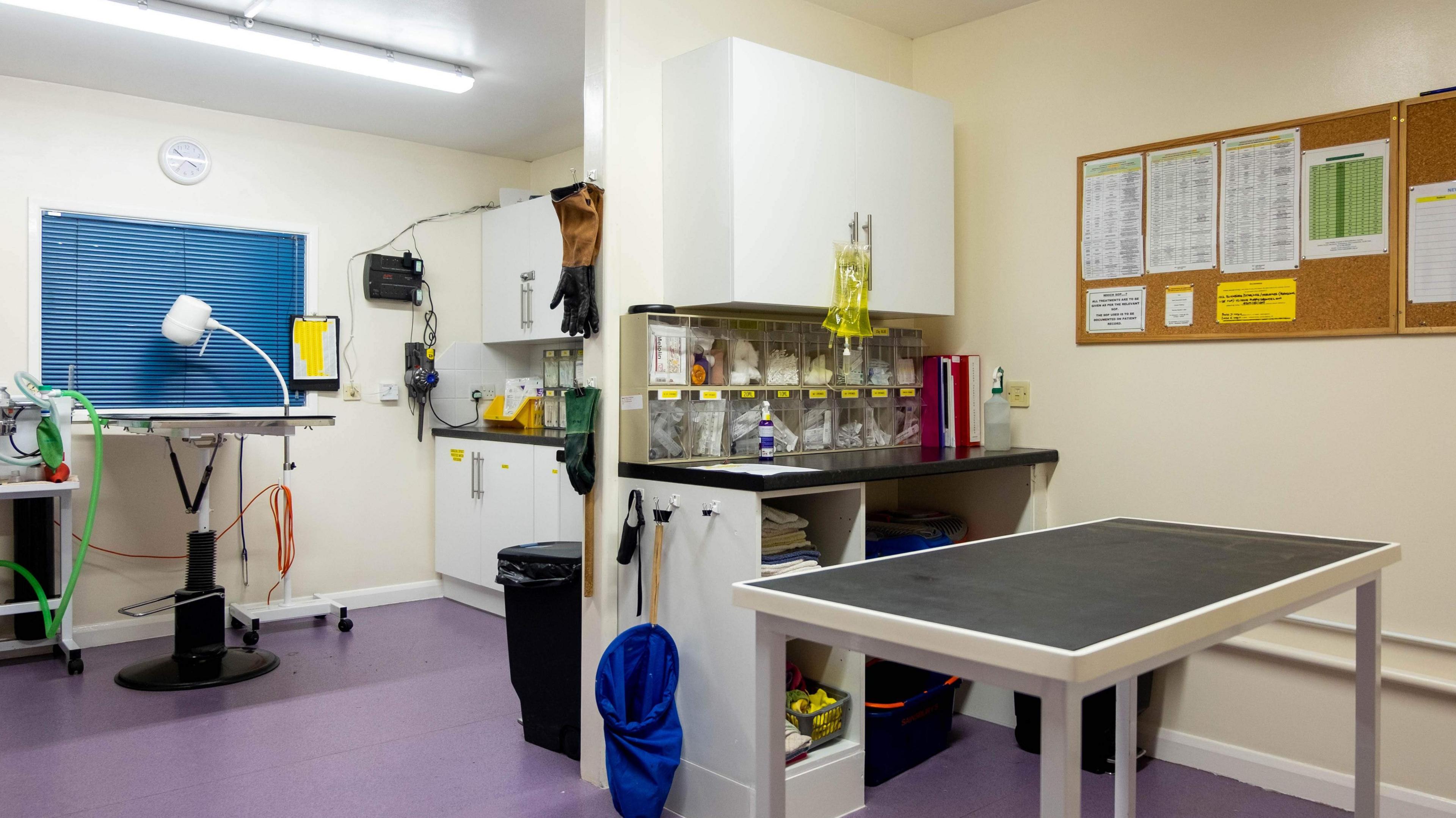 A veterinary treatment room showing a table, sink area, cupboards and other veterinary equipment.