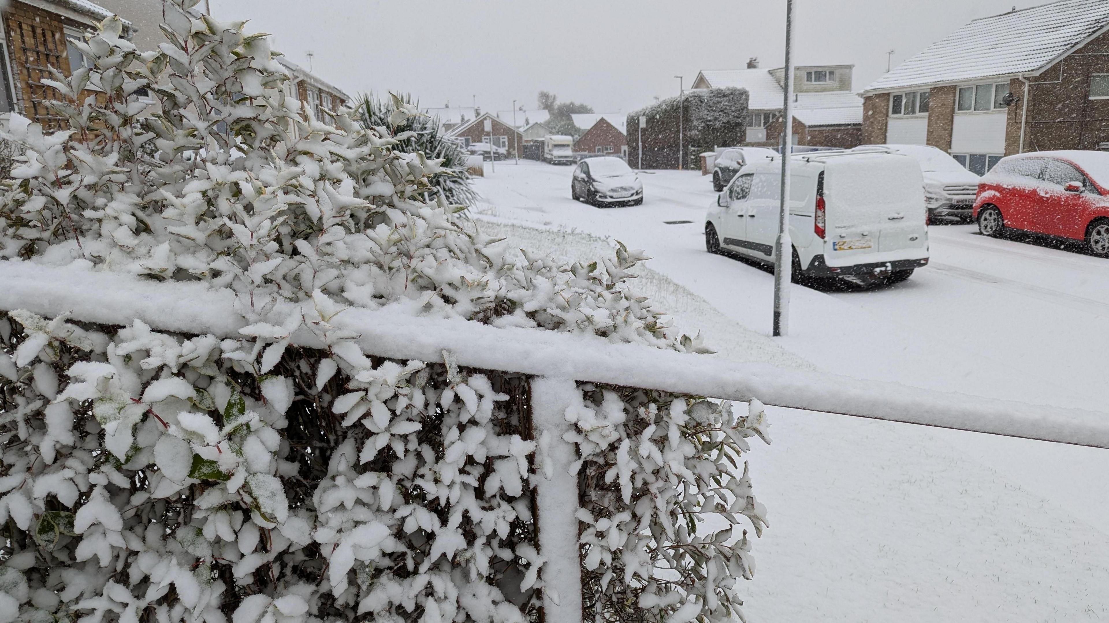 A street covered in thick snow. About two inches of snow is lying atop a metal handle rail in front of a bush, which is also covered. 