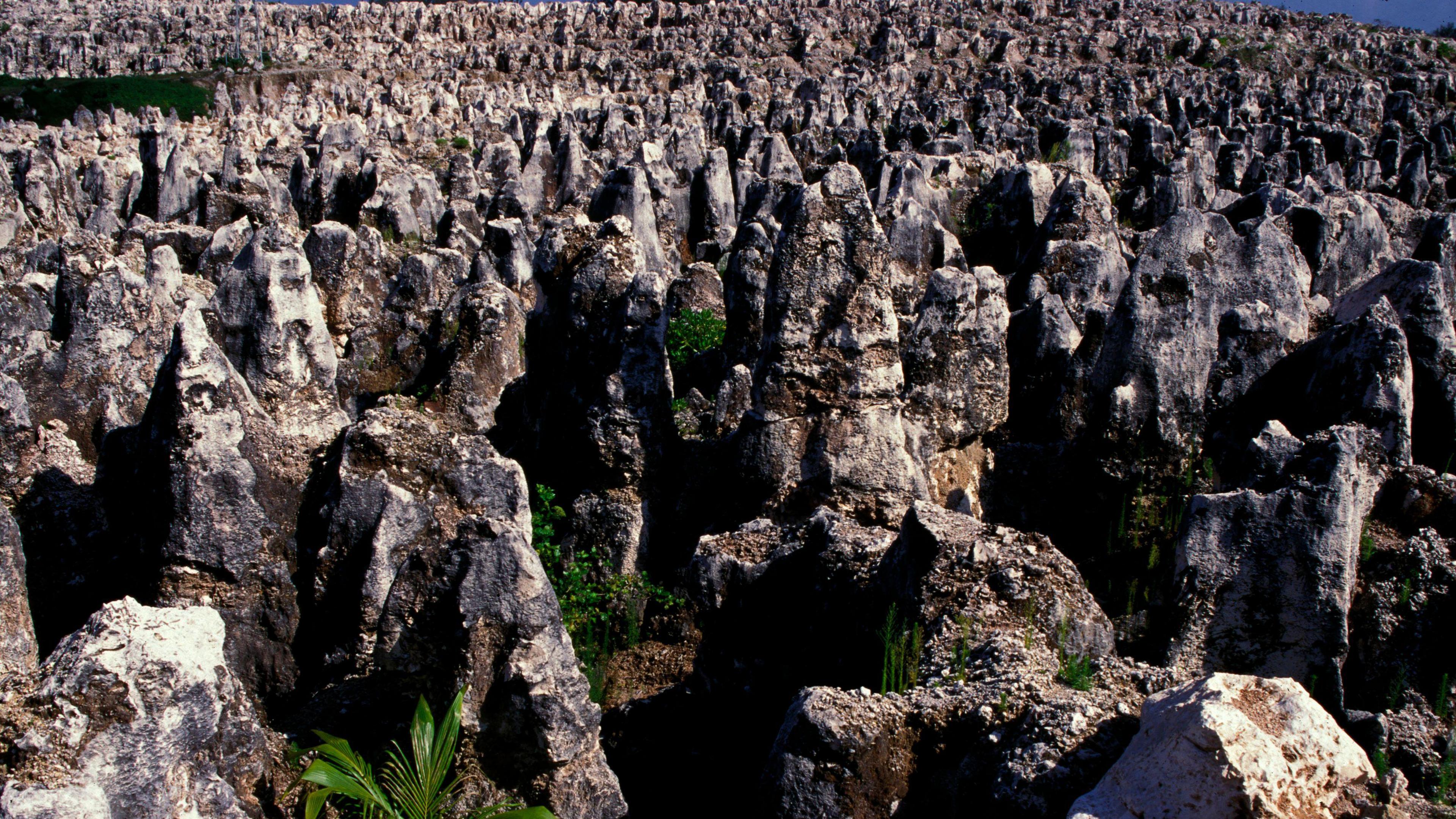 Jagged rocks on the island caused by heavy mining