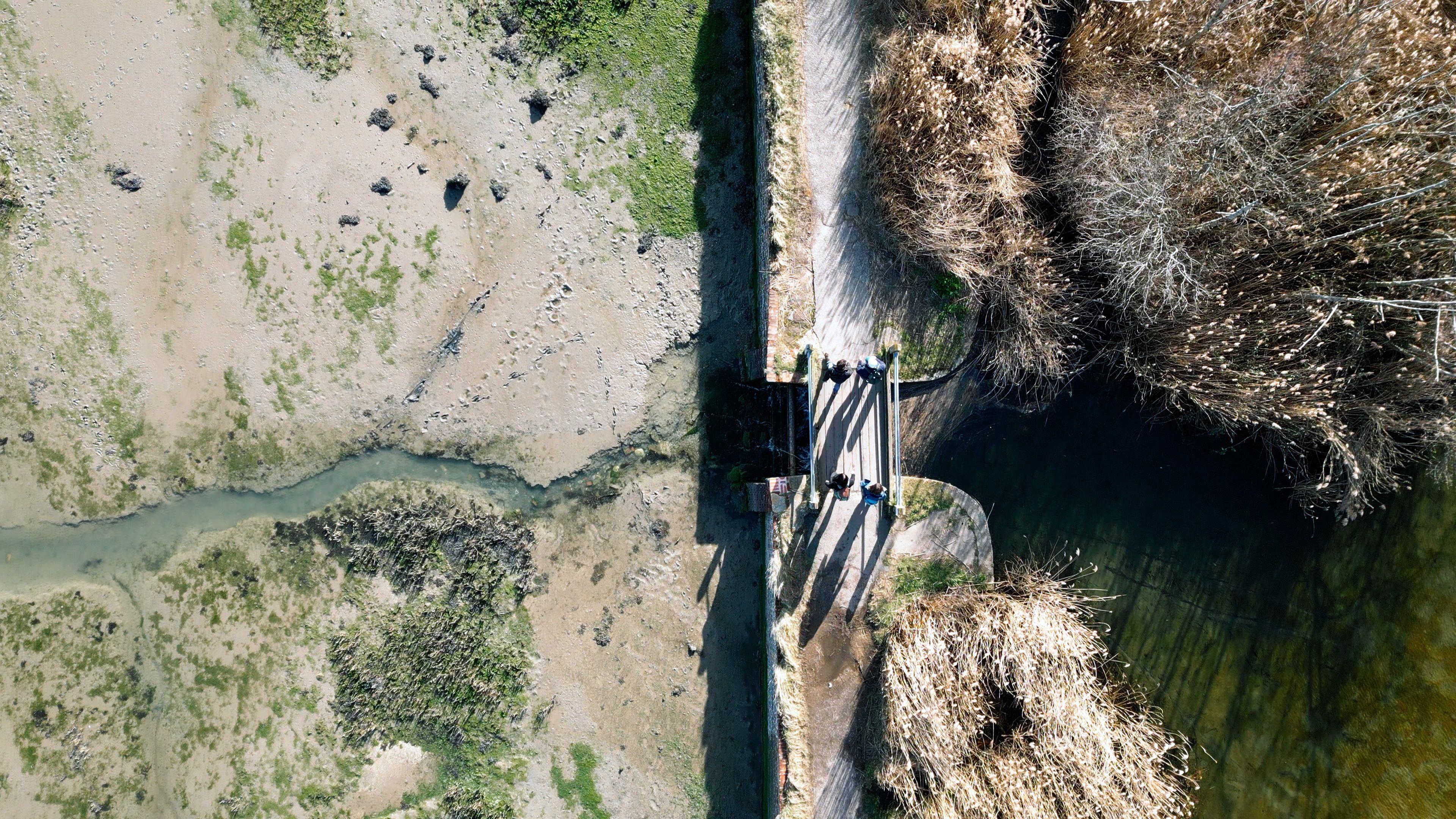 Four people are walking on a path with brown grassland, trees and a pond on one side. On the other side, it's a muddy beach with green moss. There is a wooden bench on the path, too.