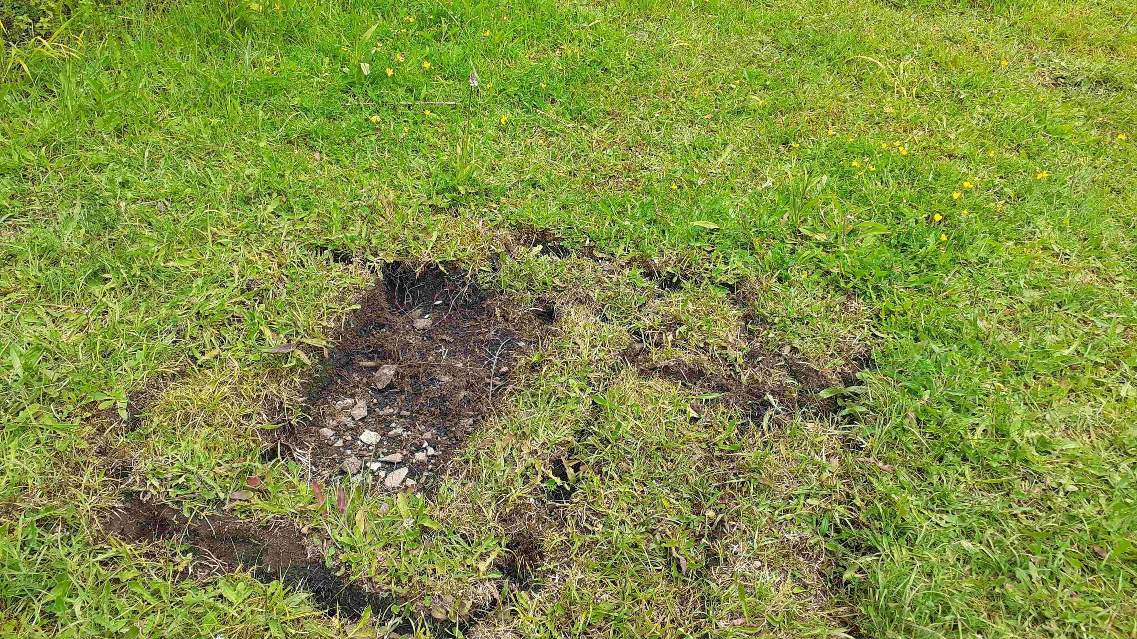 An area of wildflower meadow has been dug up, with pieces of meadow removed, and orchids seen growing nearby