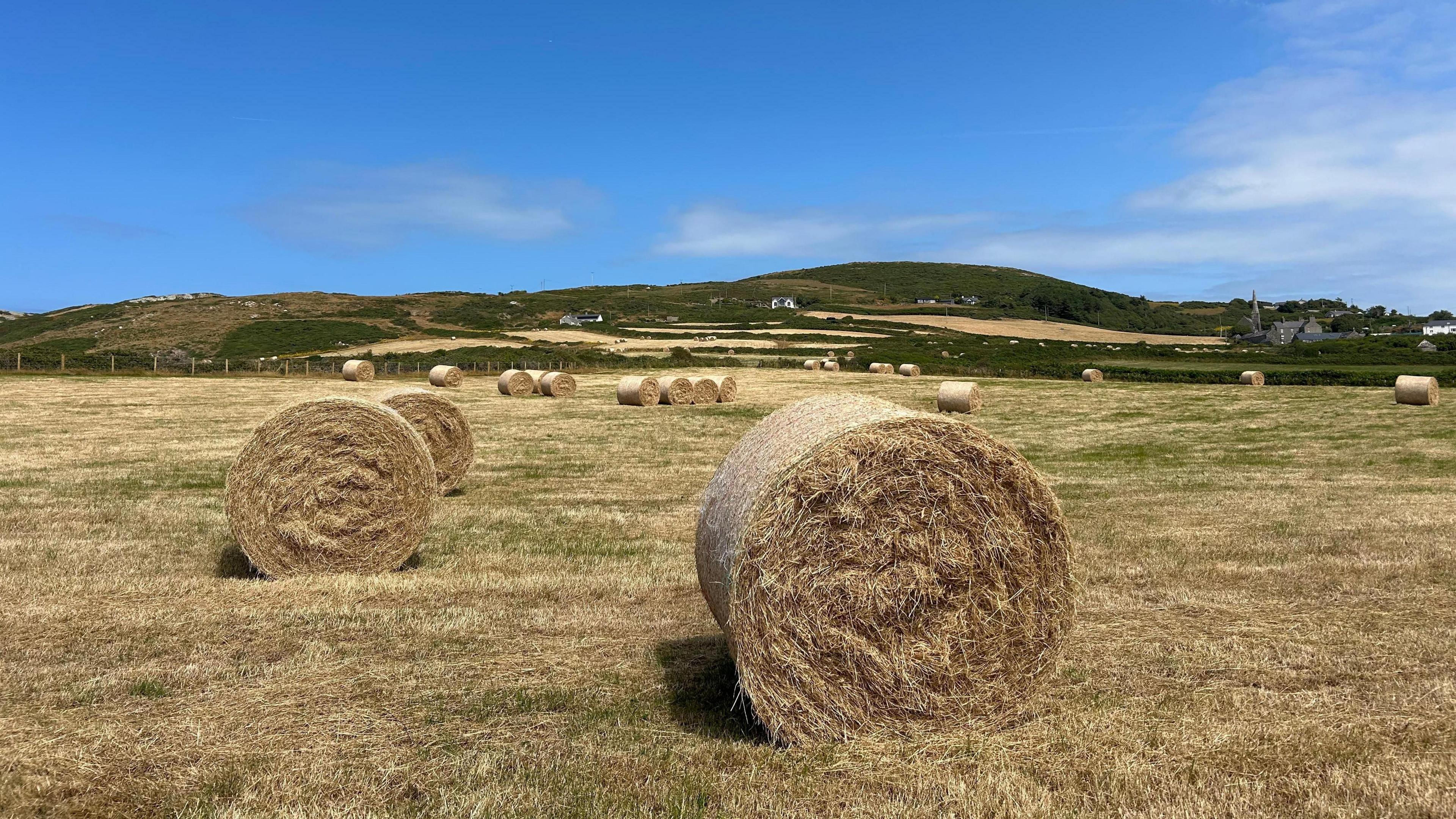 Llanrhyddlad