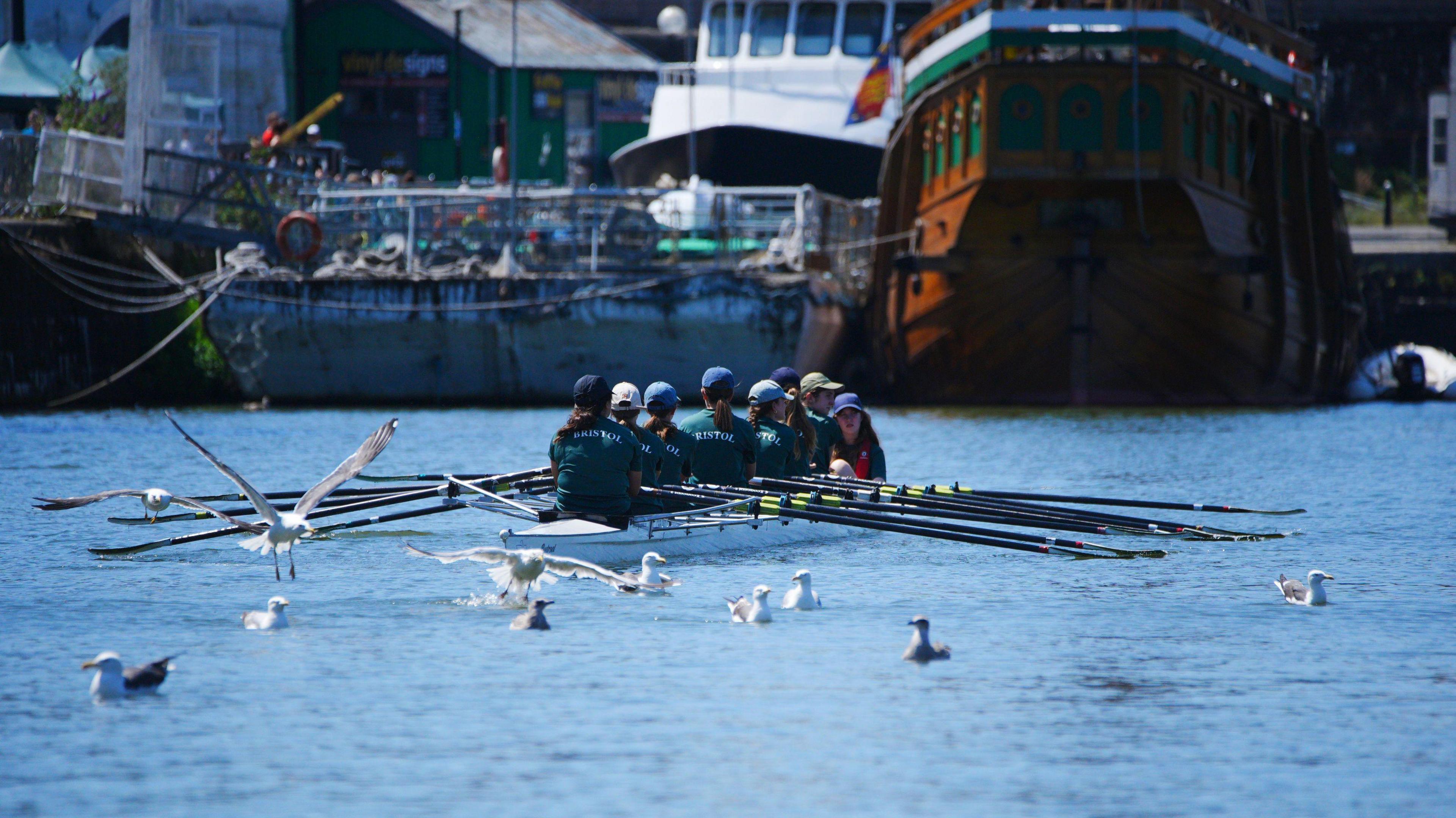 A group of rowers in a narrow boat row towards the camera across Bristol Harbourside on a sunny day. Between the rowers and the camera are various gulls, and in the background the wooden sailing vessel The Matthew can be seen.