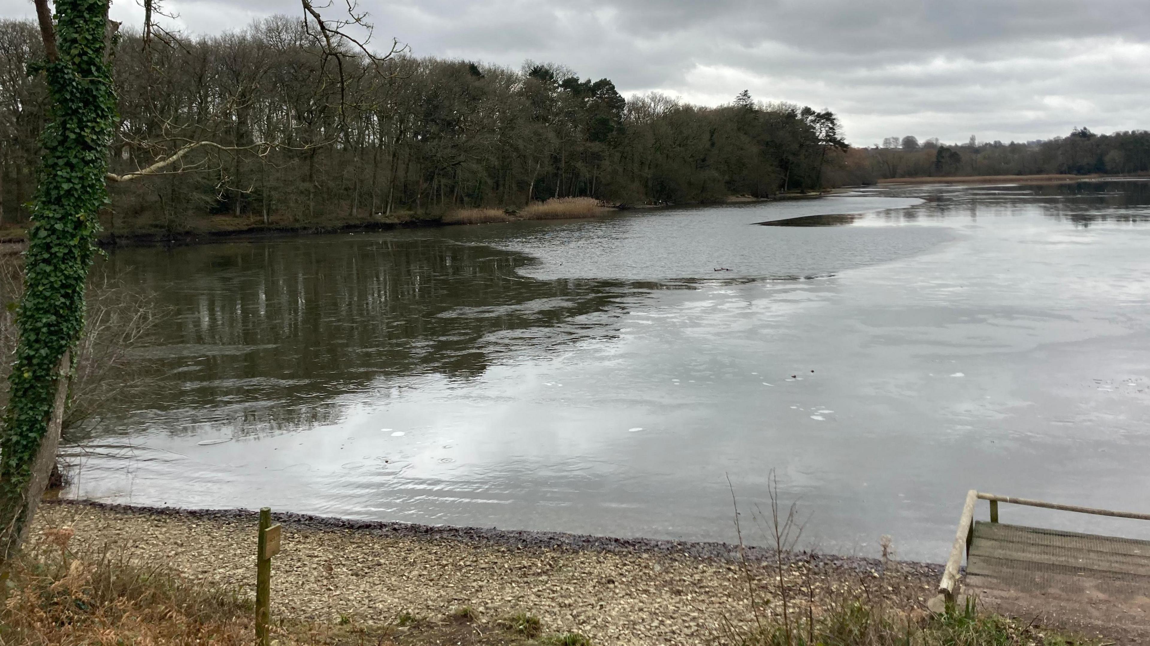 The reservoir at Chard. The water is surrounded by a number of trees during Autumn.