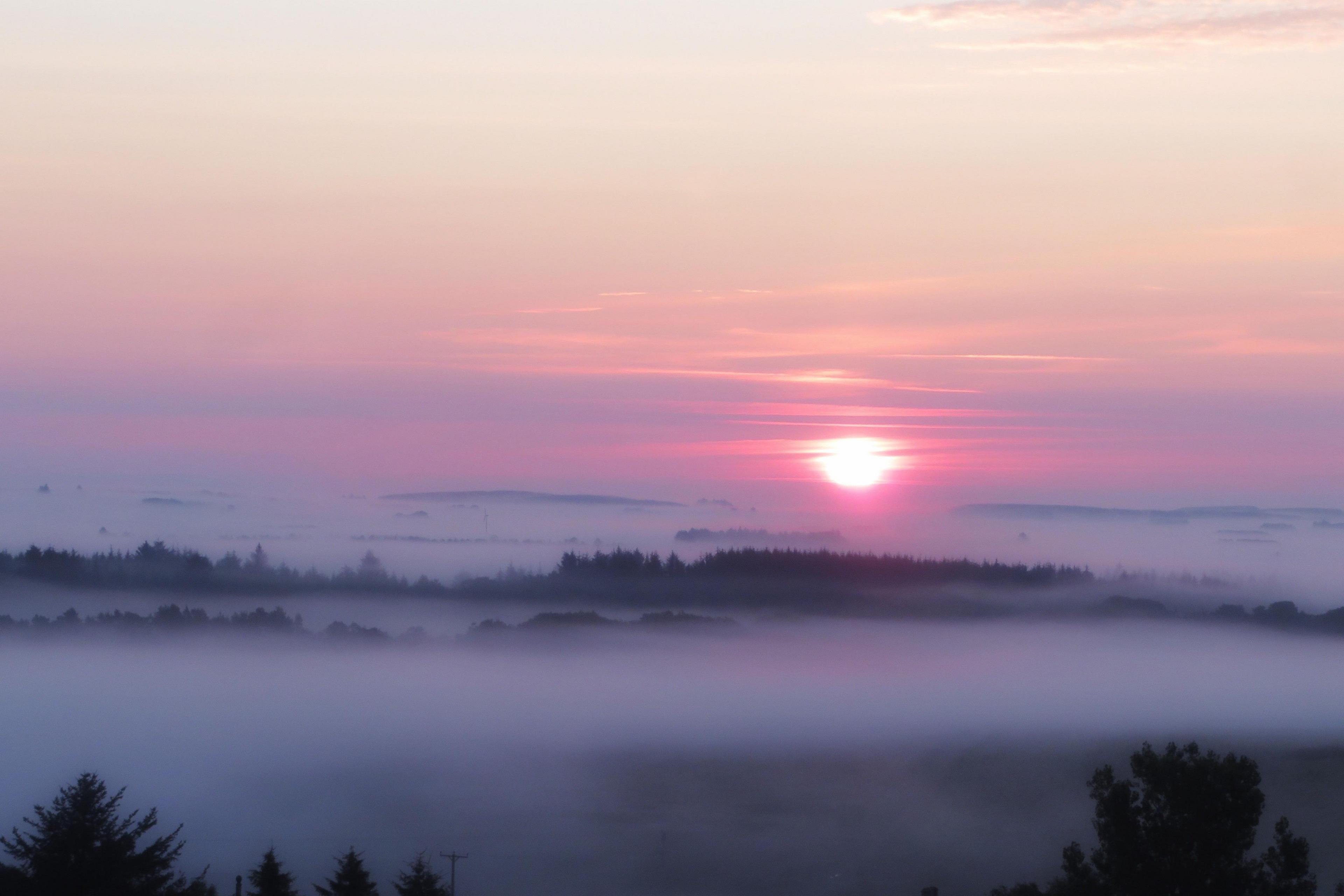 Pink sunrise sky