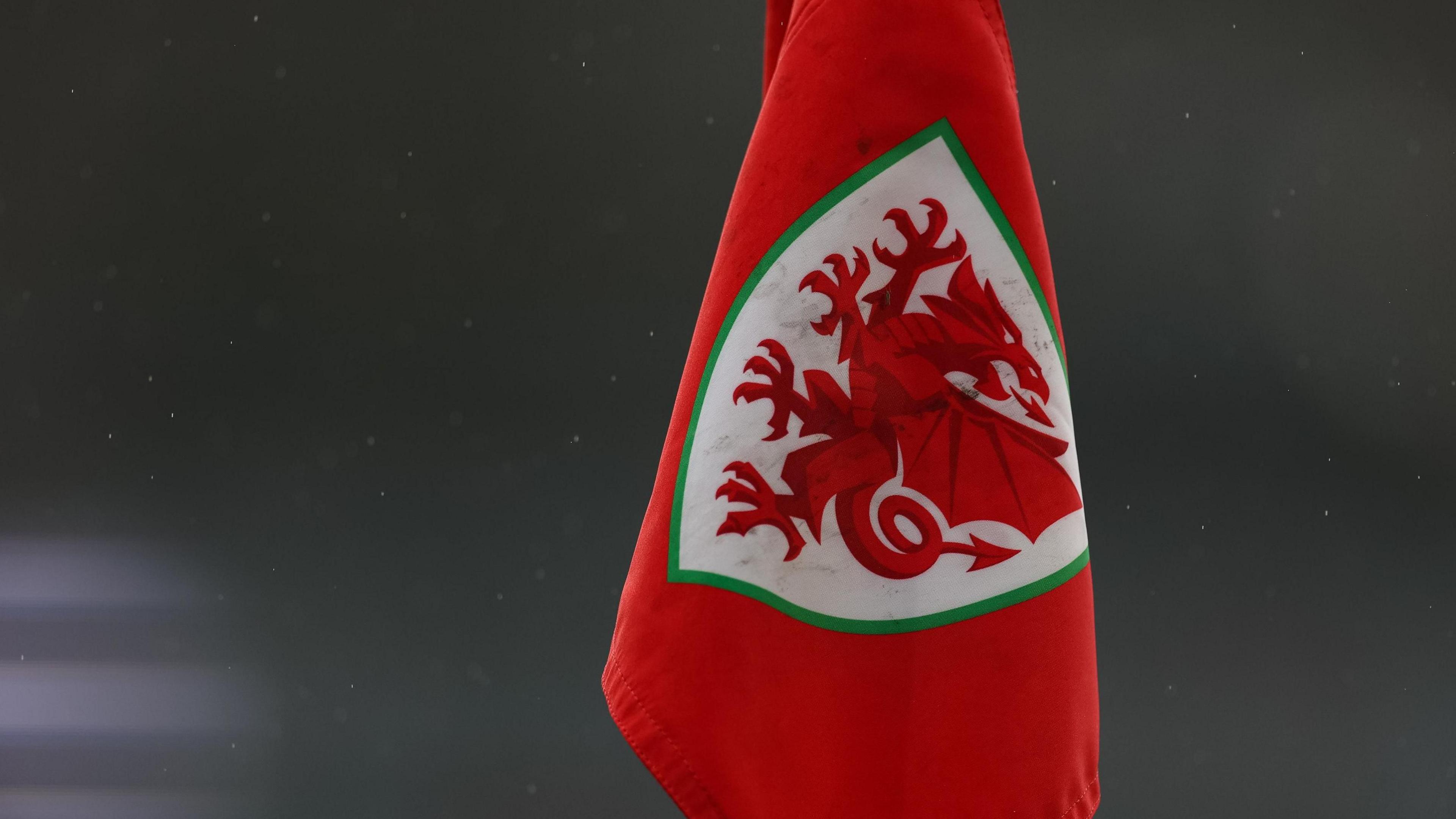 Bathodyn CBDC Cymru ar faner