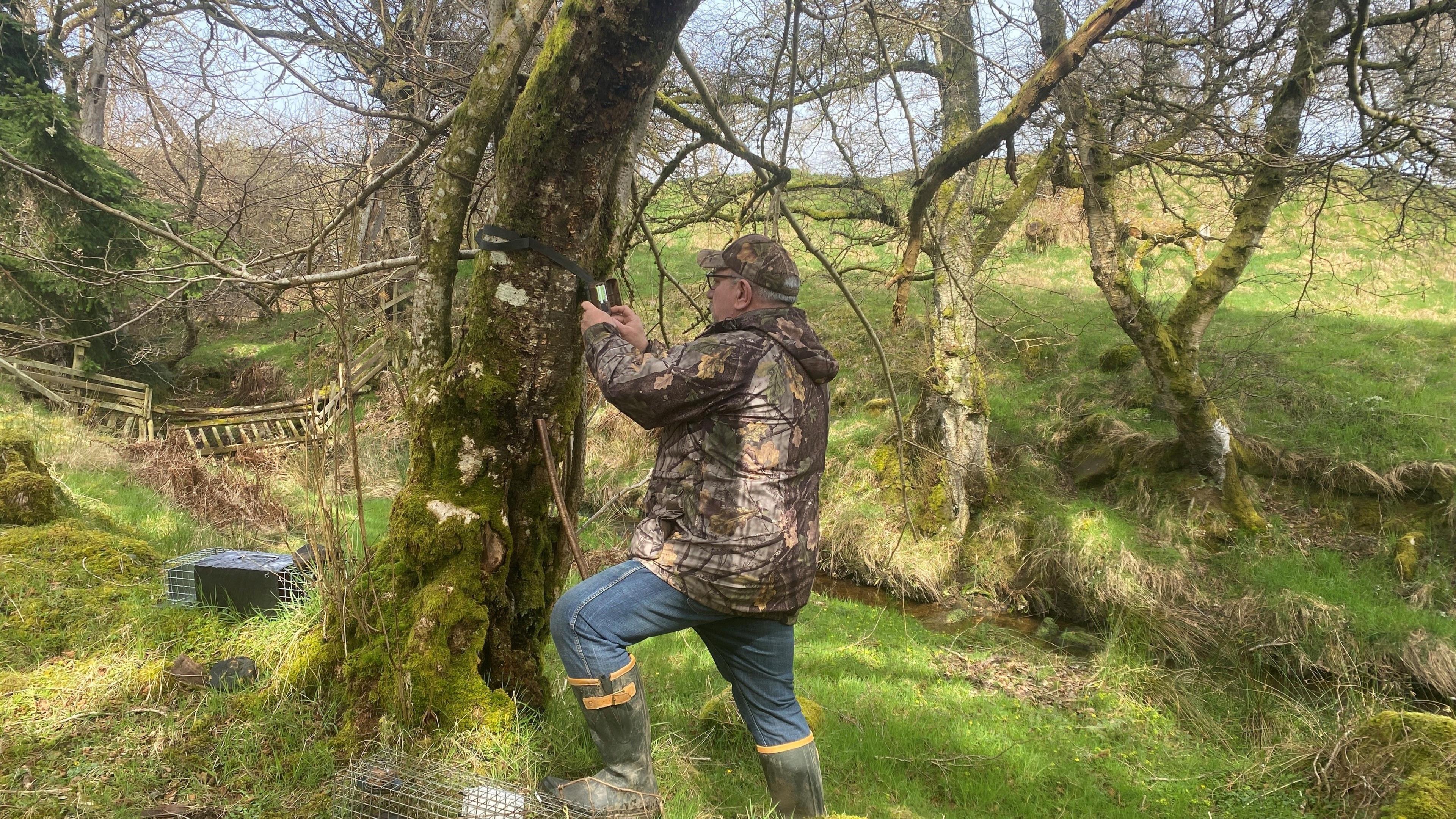 Ian Glendinning, checking the camera on a tree in a rural location next to a stream. He is wearing a green jacket, jeans and wellington boots