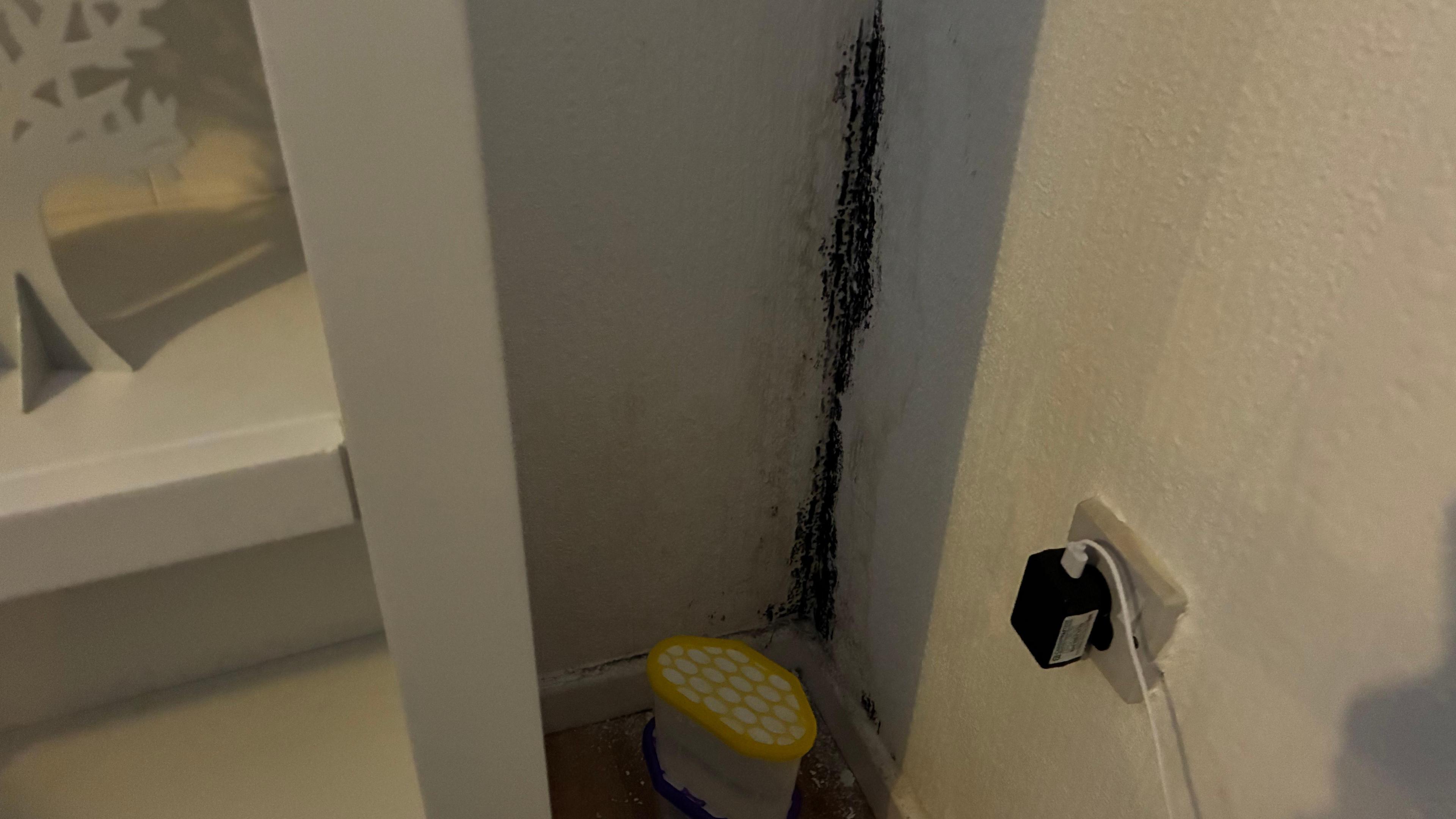 A close up of the large stripe of black mould in between two walls.
