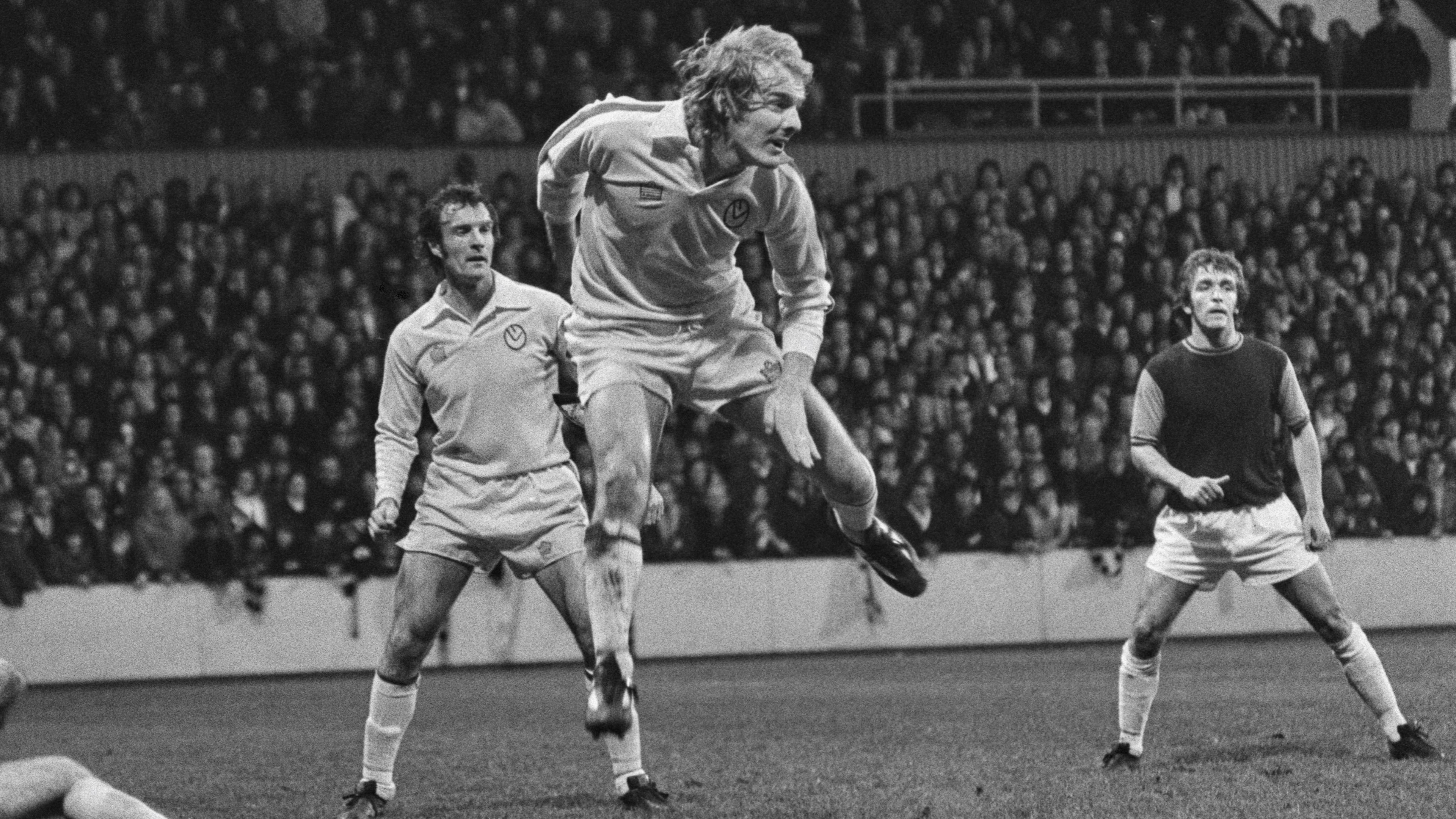Terry Yorath