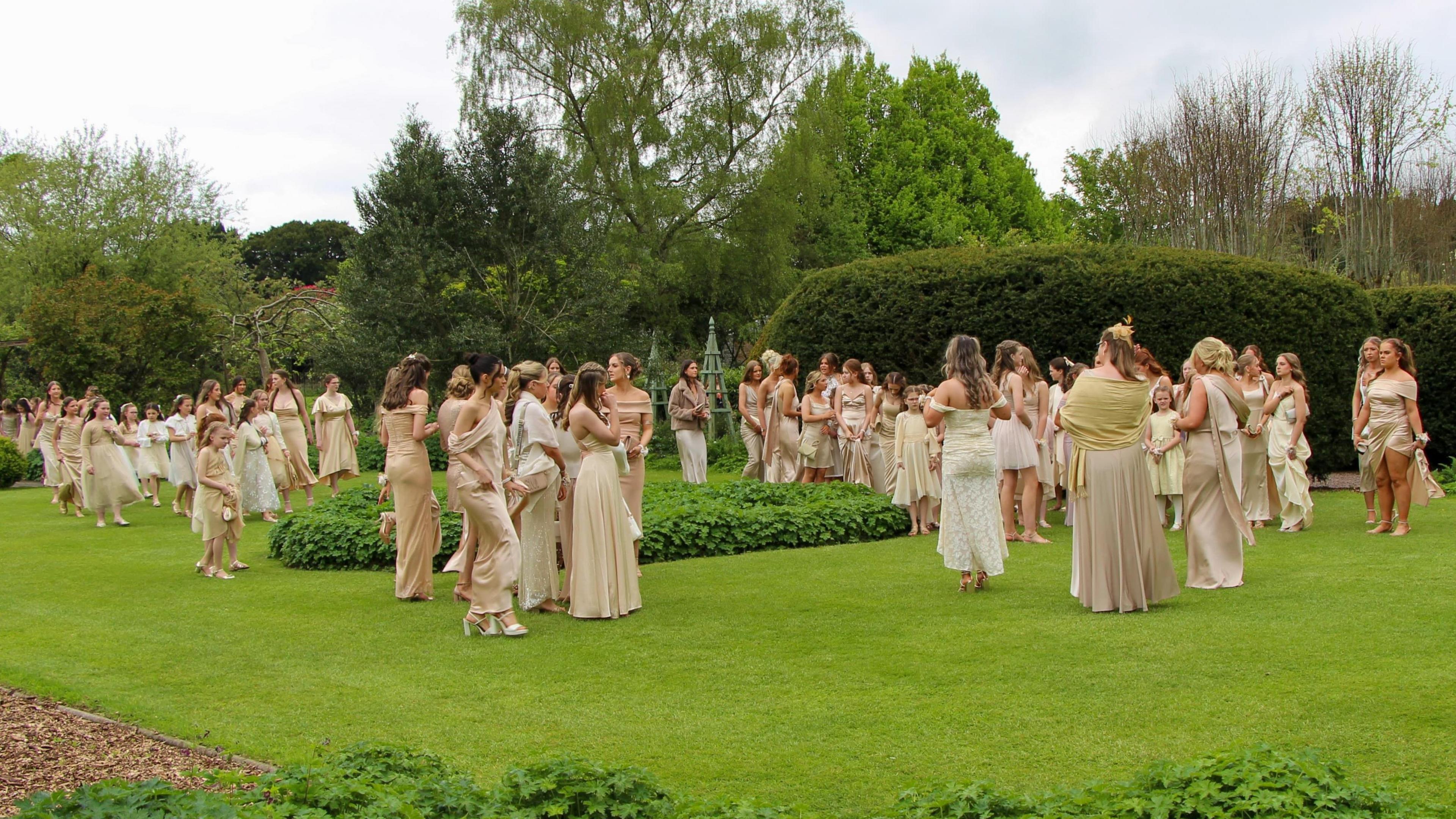 A wide shot of the bridesmaids standing in a grassy area. They are all wearing gold dresses.