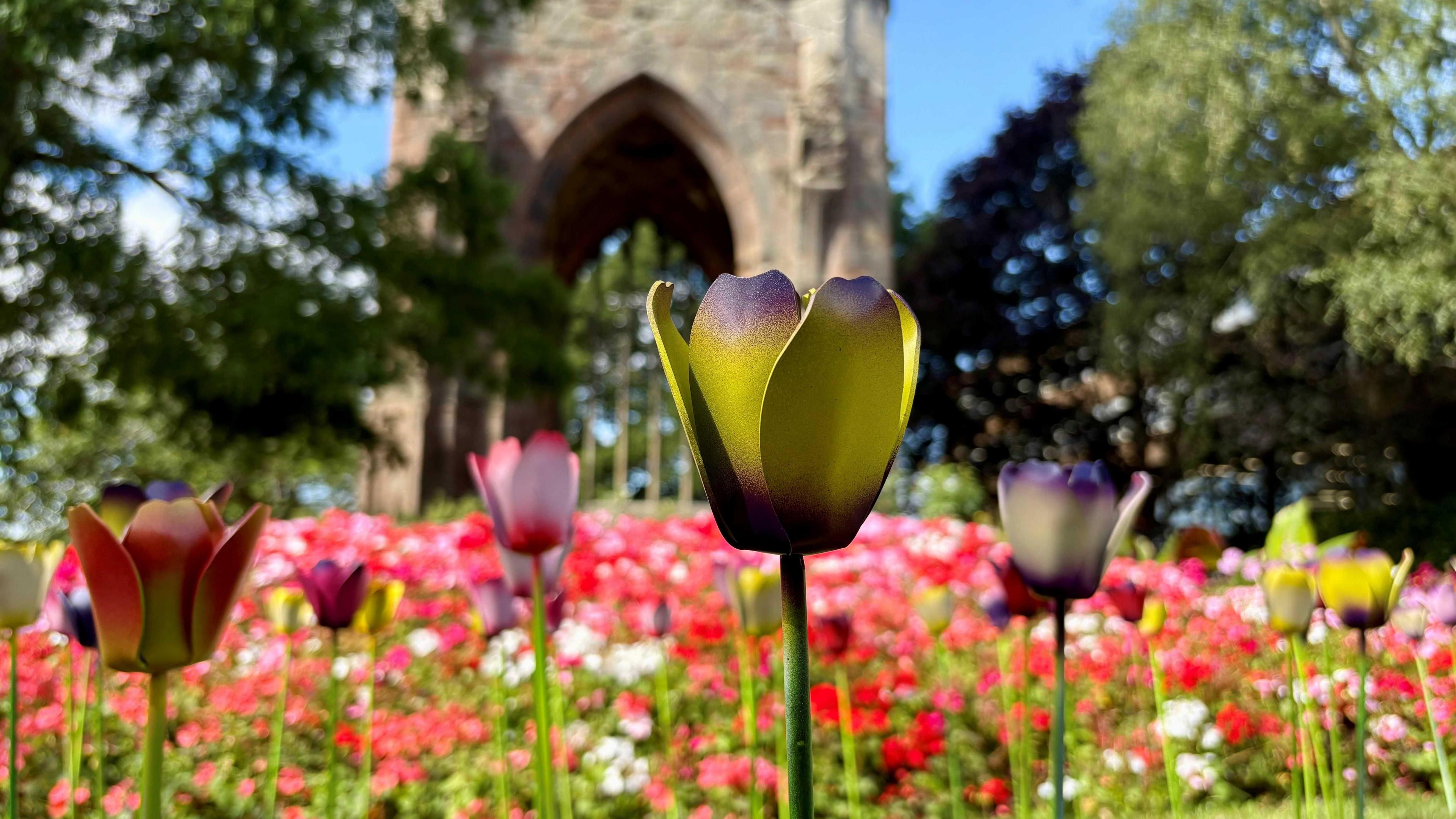 A yellow and purple tulip surrounded by other tulips with a gothic-styled building behind them in the background.
