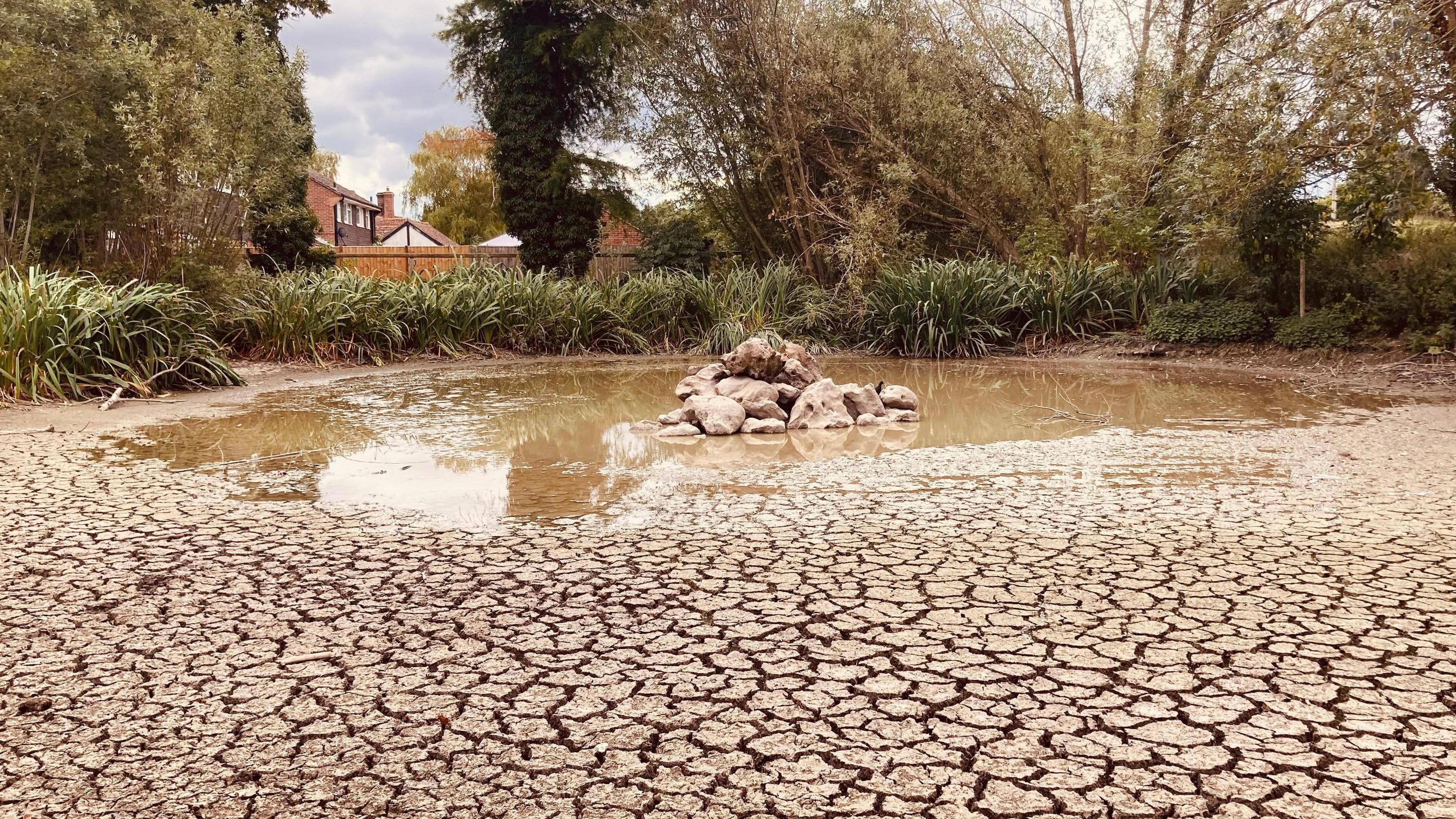 A drying out pond with cracked mud. A pile of stones stand in a shallow water. Plants and trees surround the pond with a house in background behind a brick wall.