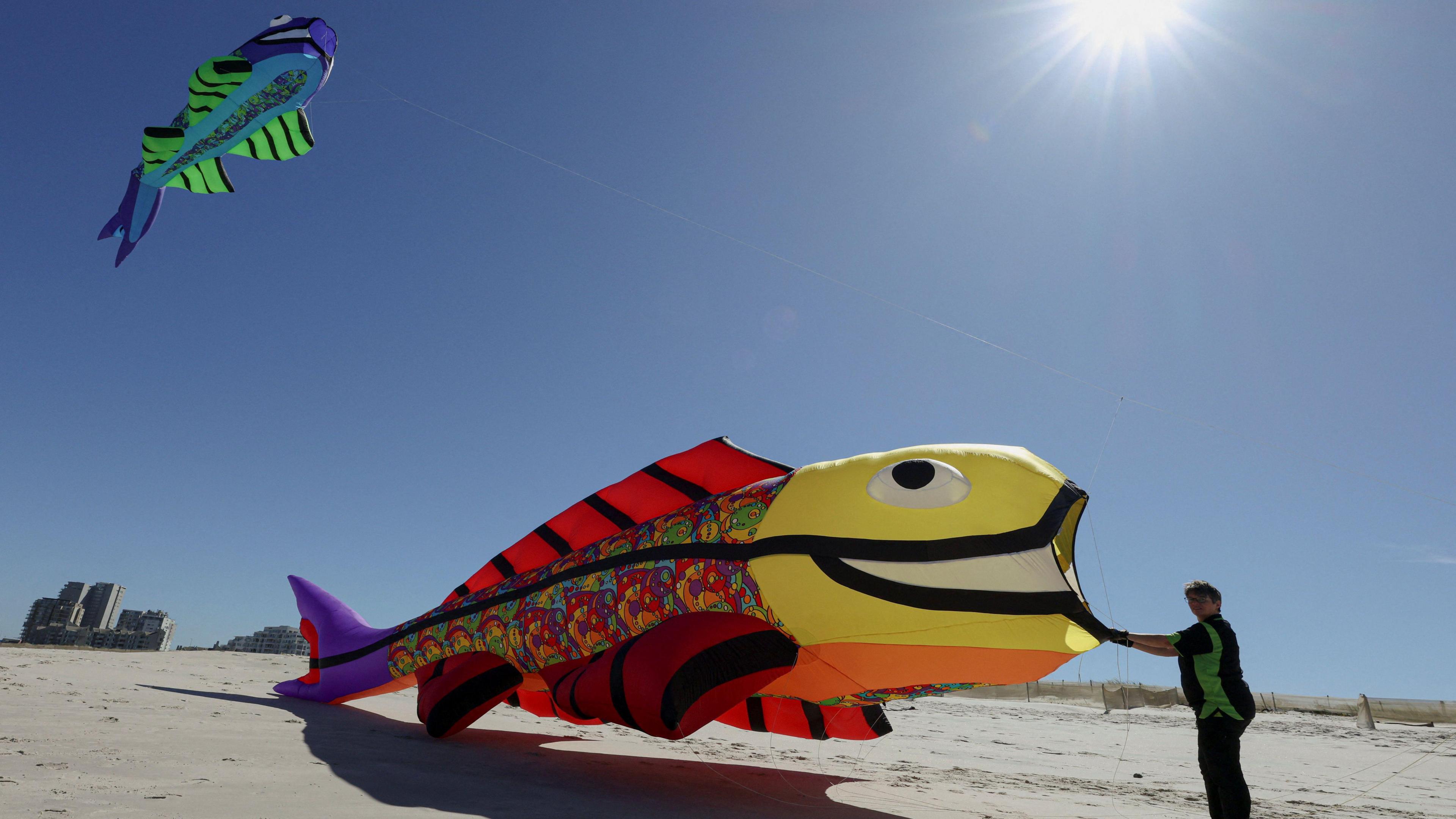 Brightly coloured fish kite is seen lying on a beach with a person holding the front