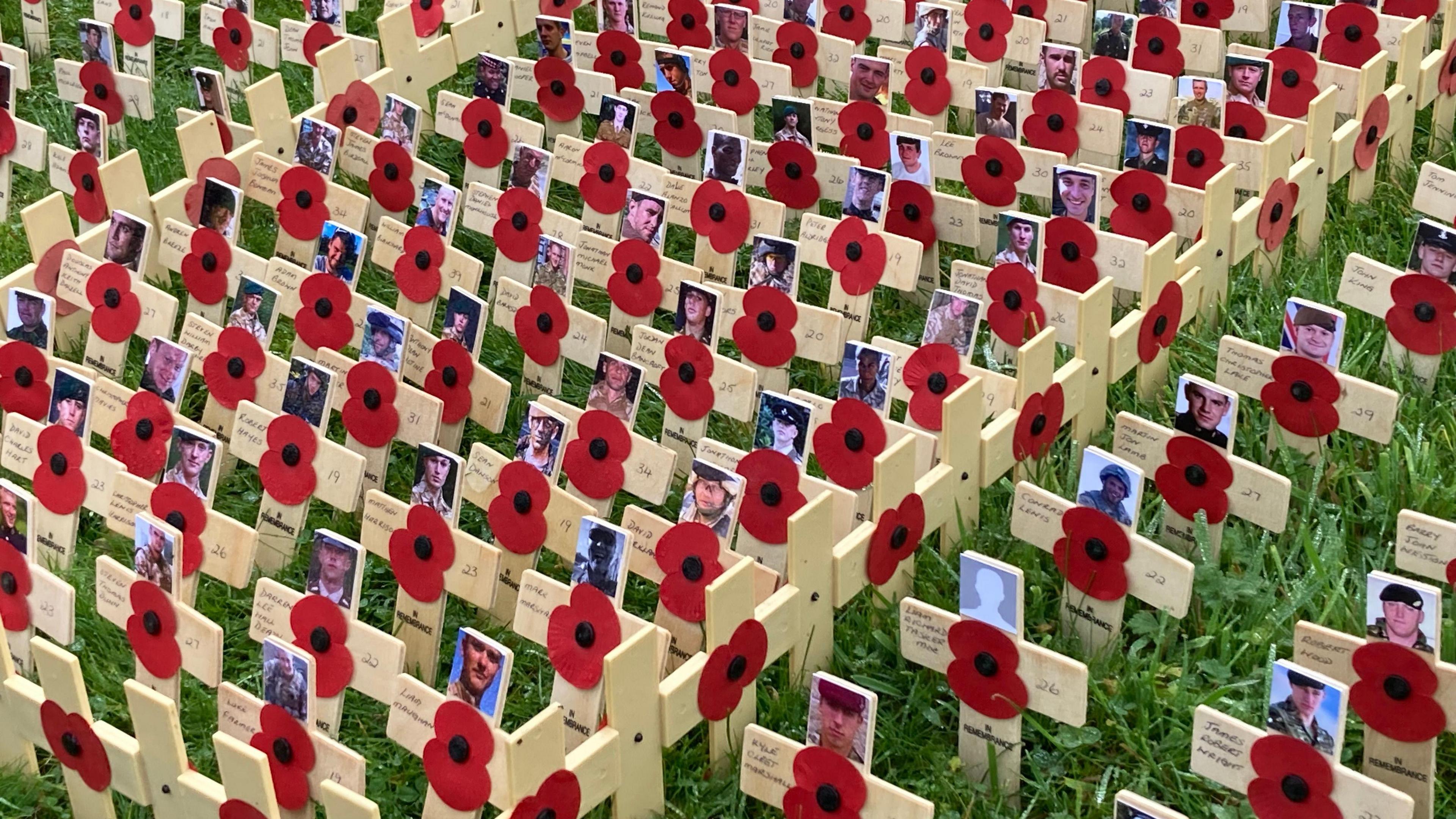 Royal British Legion small wooden crosses with poppies on for remembrance - they fill the picture, all have a name, many also have a photo for the individual commemorated. They are planted into grass.