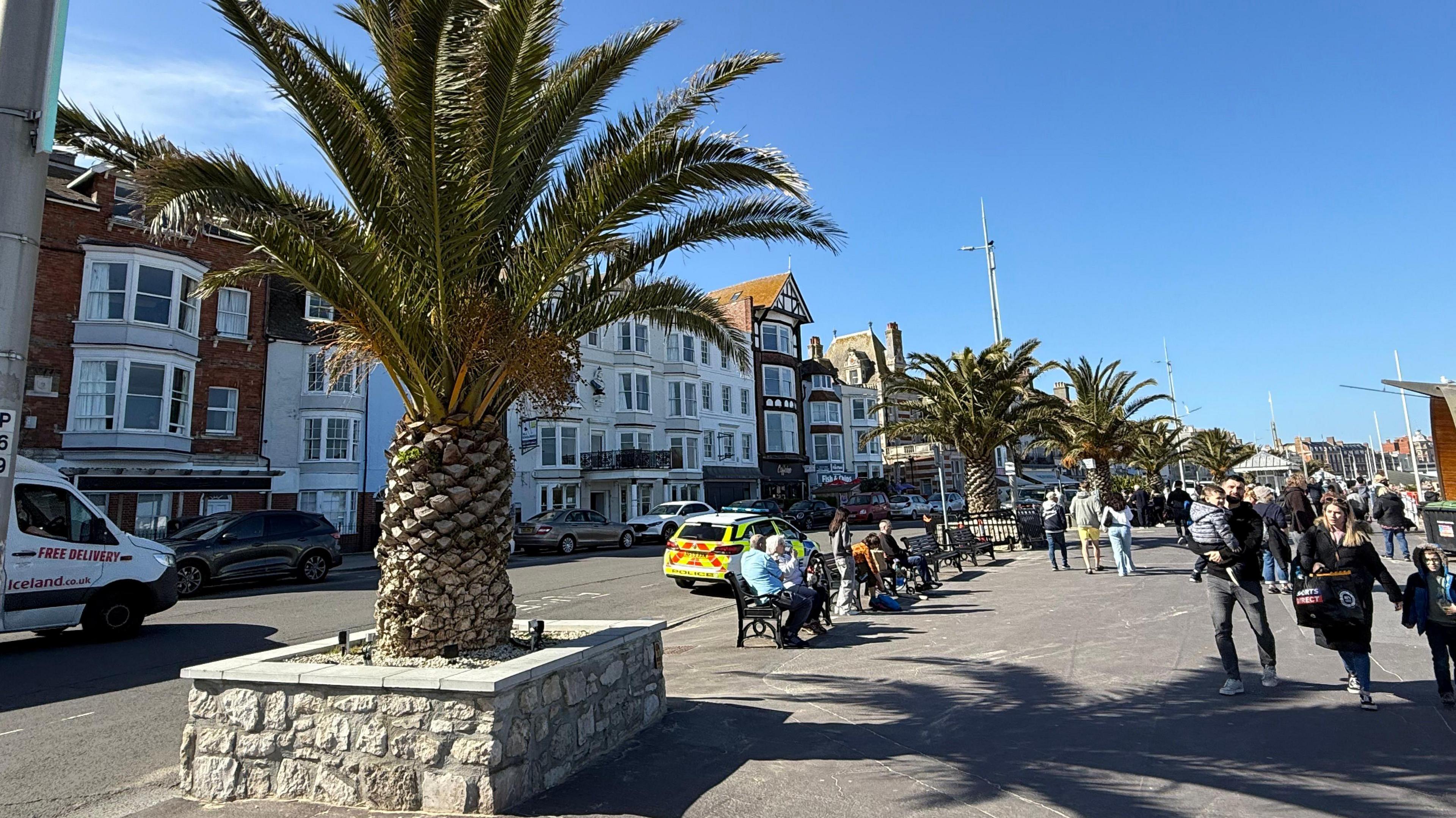People walking along an esplanade with palm trees planted in stone planters. 