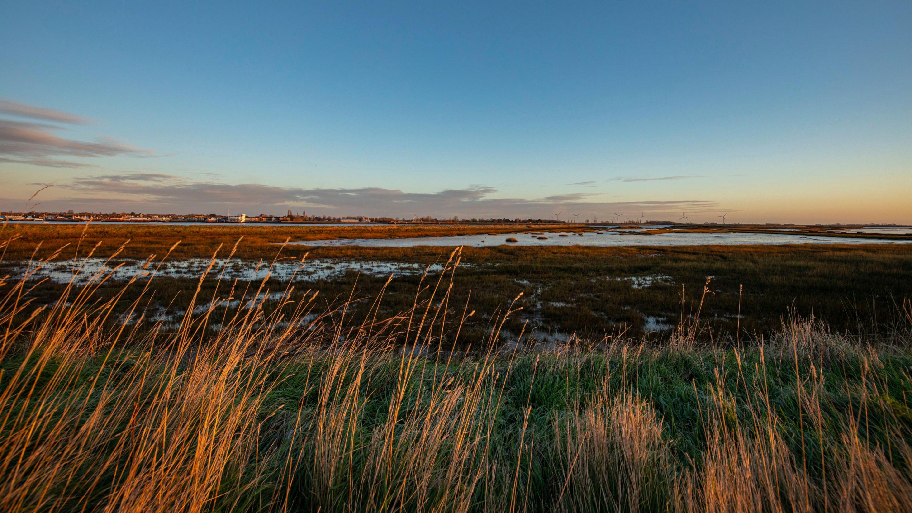 The sun is setting on Wallasea Island. From behind some long grass the sun is casting an burnt orange glow on the patches of water around the marsh land. 