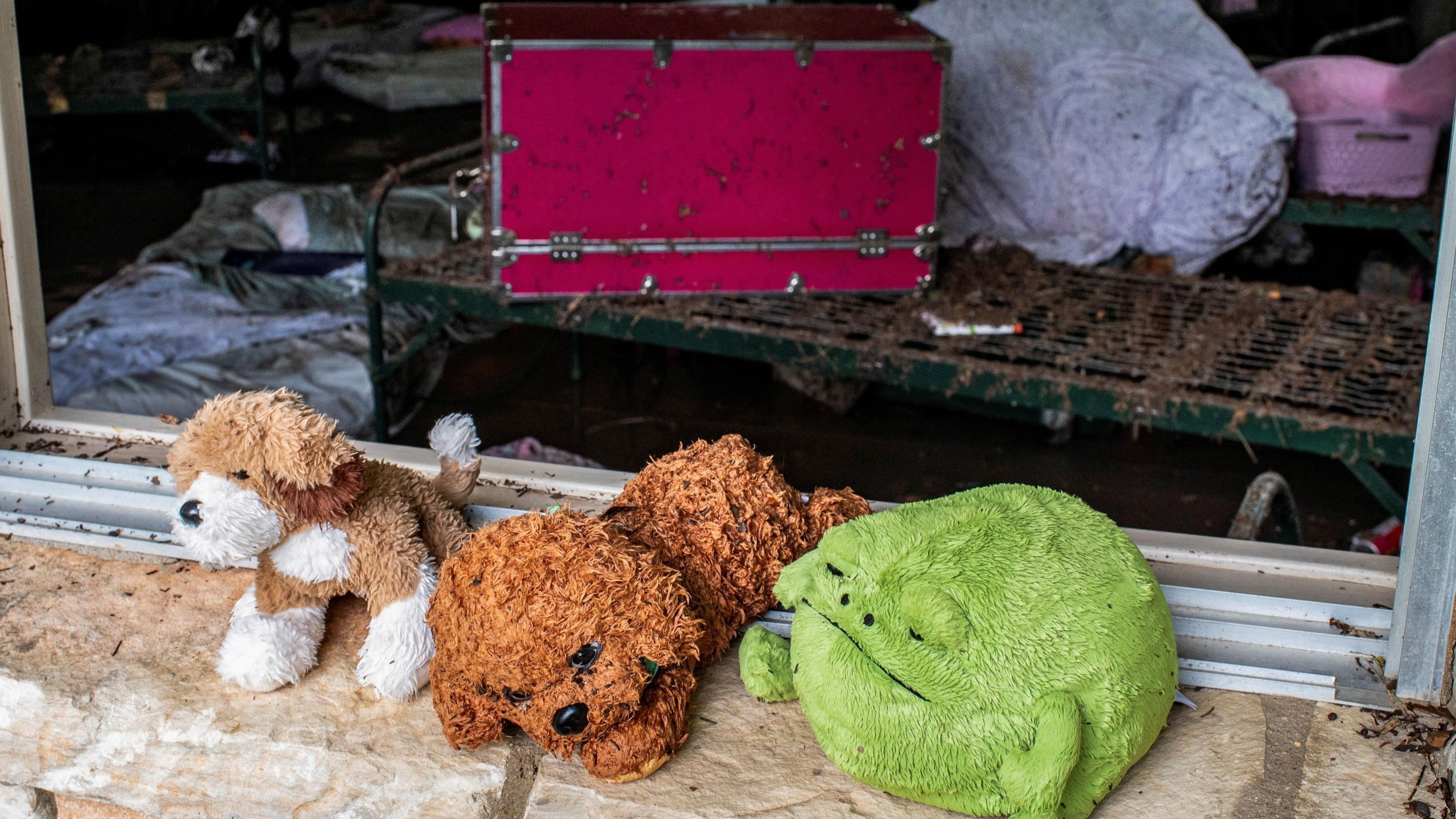 Stuffed animals sit in a windowsill at Camp Mystic amid flood damage