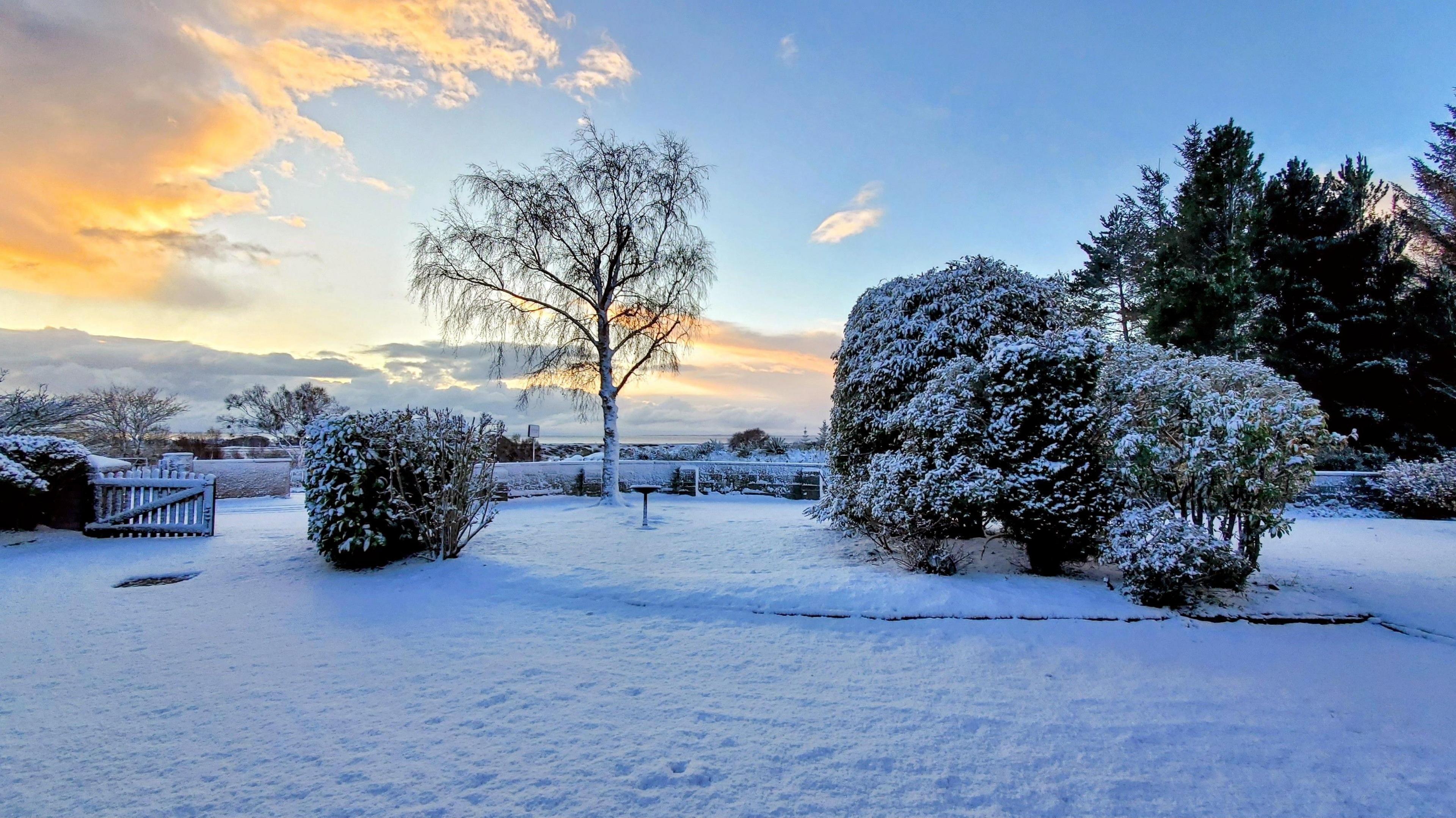 A garden covered in fresh snow with trees and hedges under a colorful morning sky.
