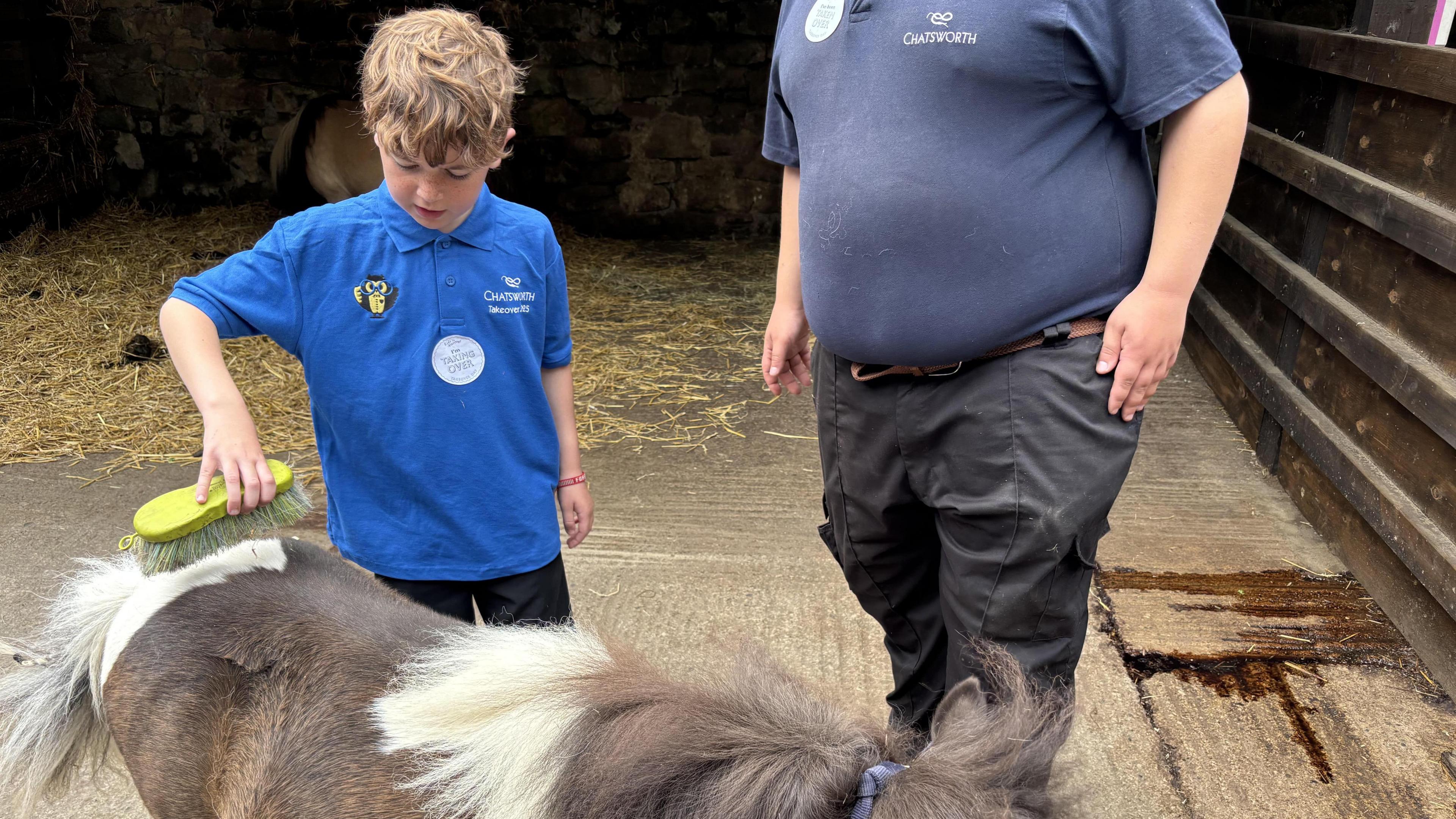 Primary school pupil brushing pony.