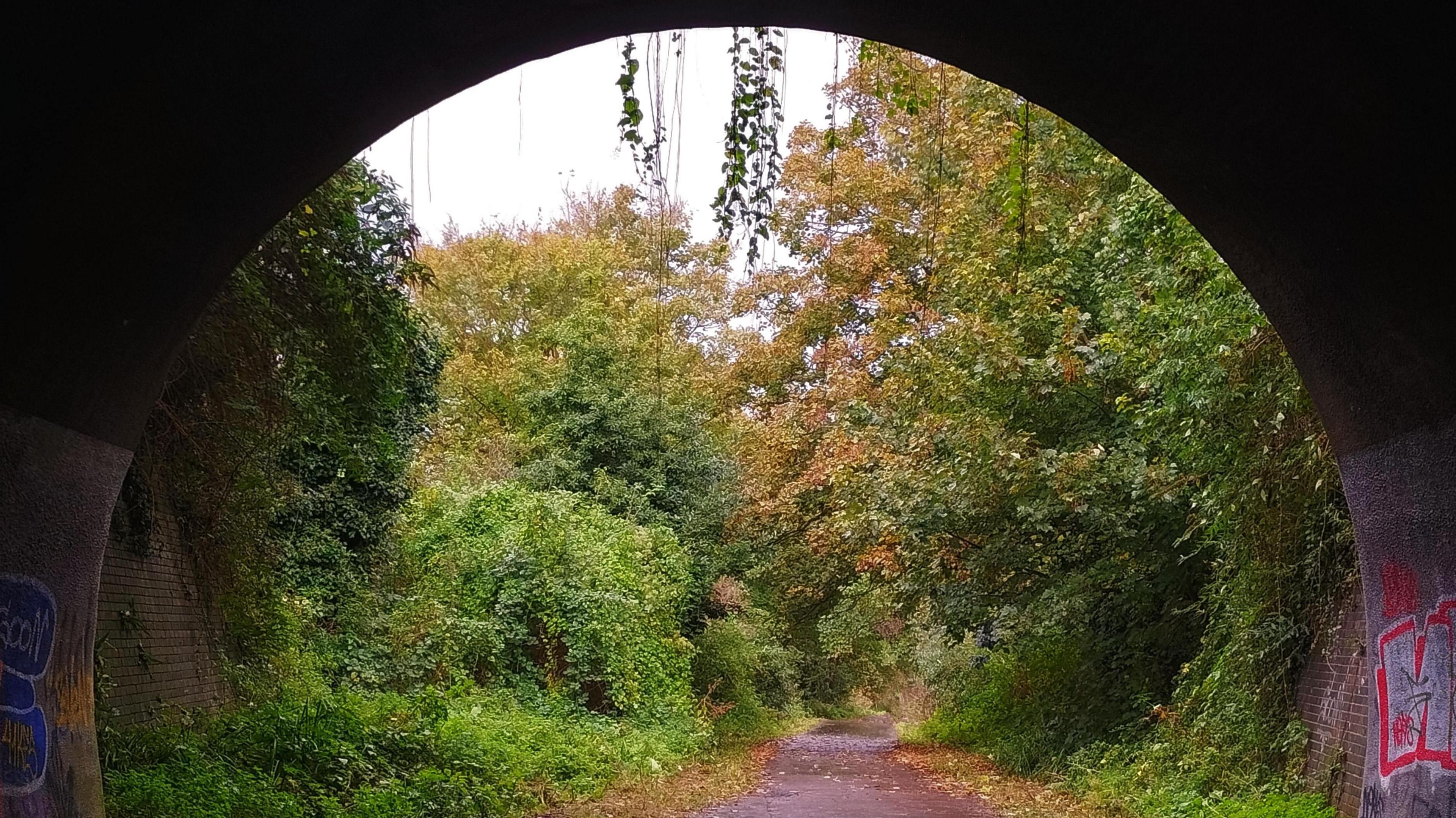 A brick arch tunnel frames the view along a path that has trees overhanging on both sides. Some of the trees are starting to turn brown with leaves on the path. 