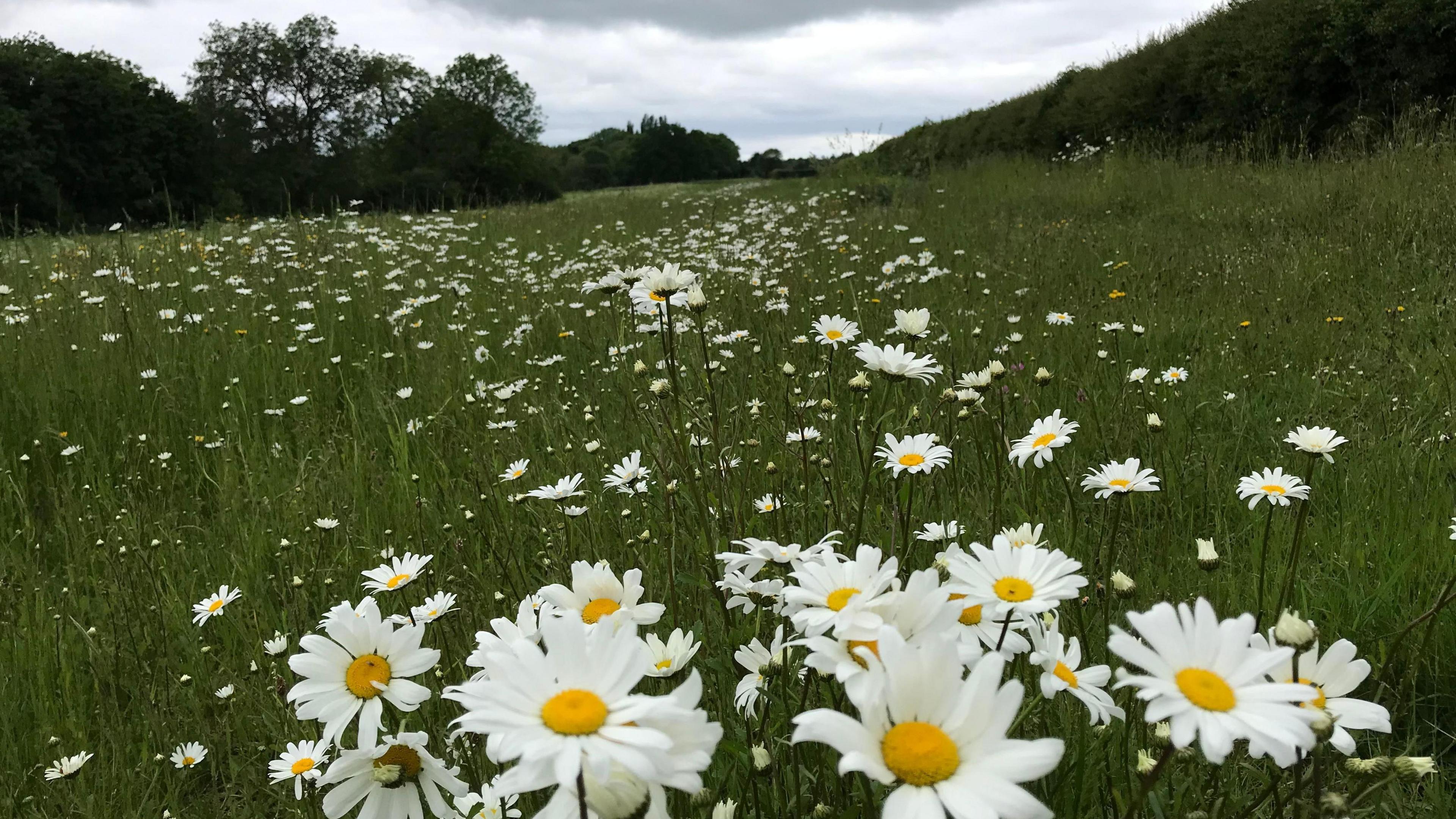  Wellesbourne Mountford, Warwickshire