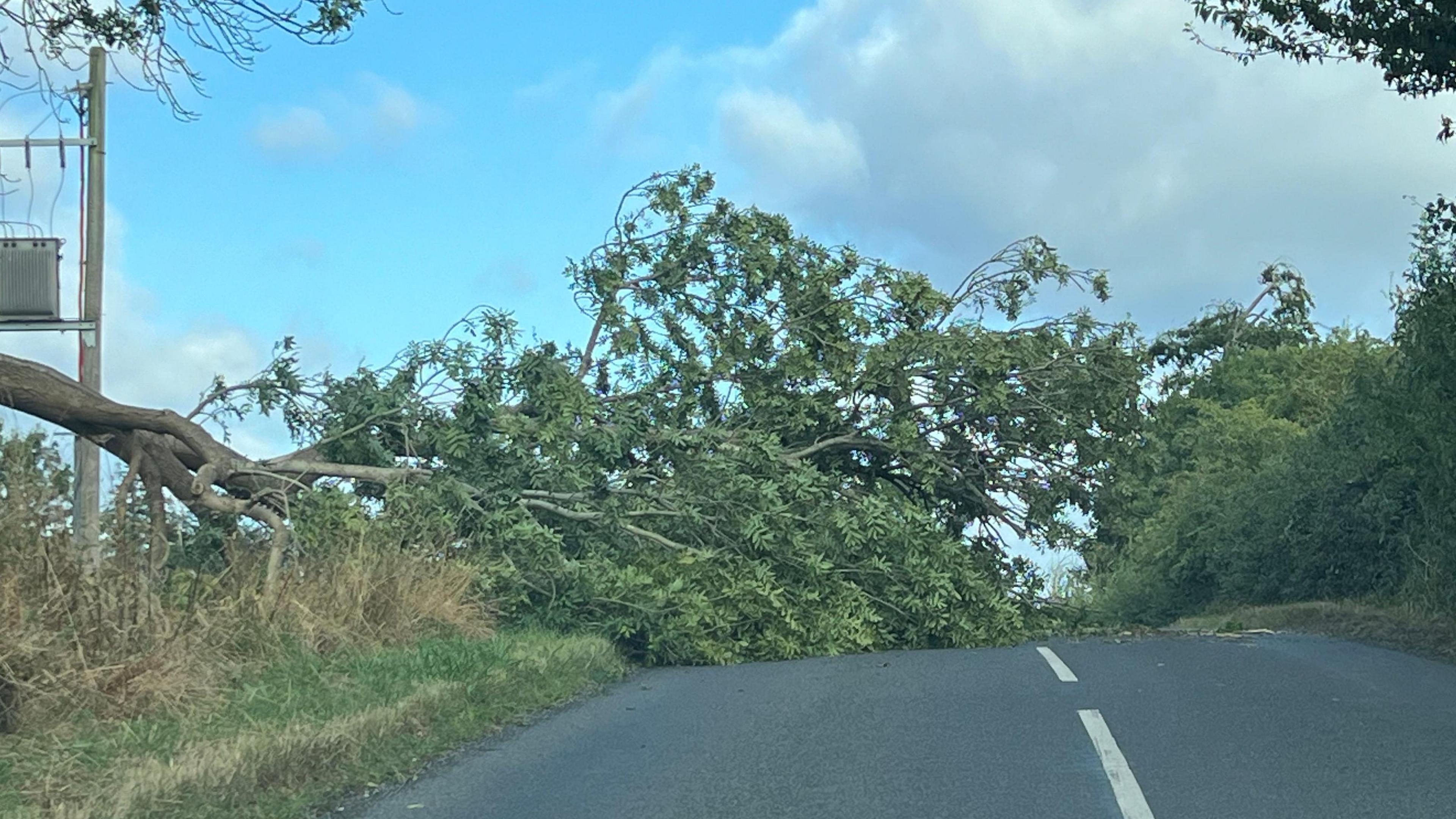 Tree down near to Dunstall Castle in Worcestershire (opposite turning to Aston Coaches). Just off the A4104 Defford Road. 