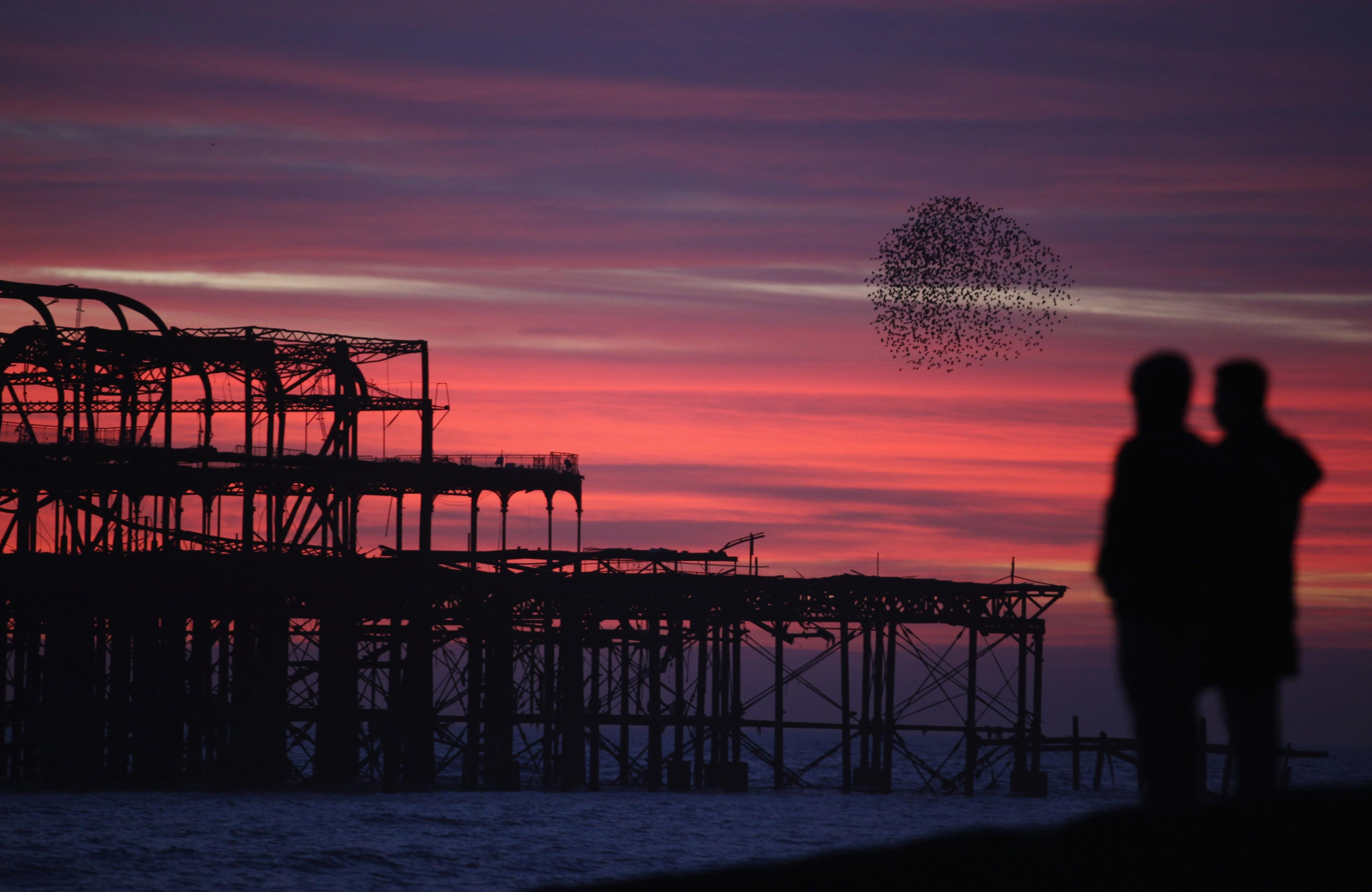 Two people watch the sky filled with red streaks as the sun rises on the winter solstice. Out into the sea is the outline of a building structure and to the right is a murmuration of birds