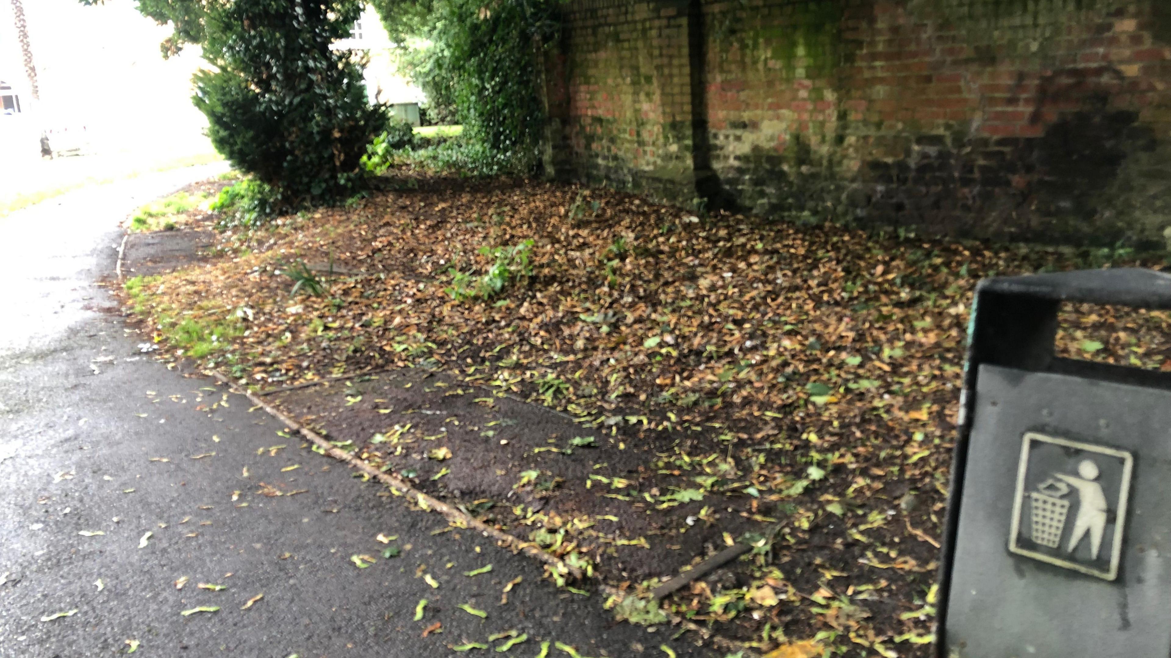 An empty space in Wisbech War Memorial Garden where a bench once stood. The path is strewn with leaves with shrubs and a wall in the background.