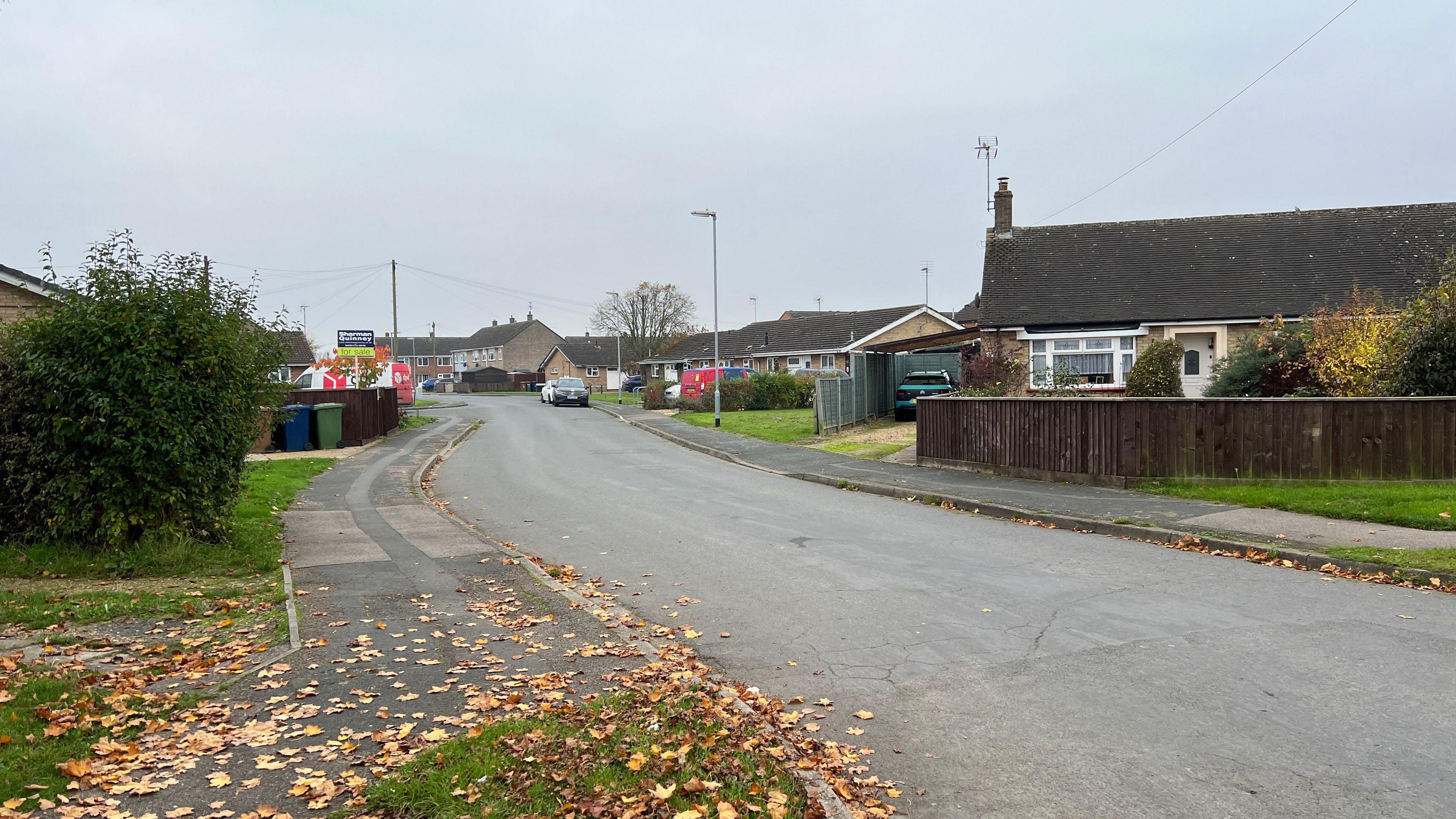 A residential street in March, houses and bungalows can been seen on both sides of the road, with fallen leaves on the path