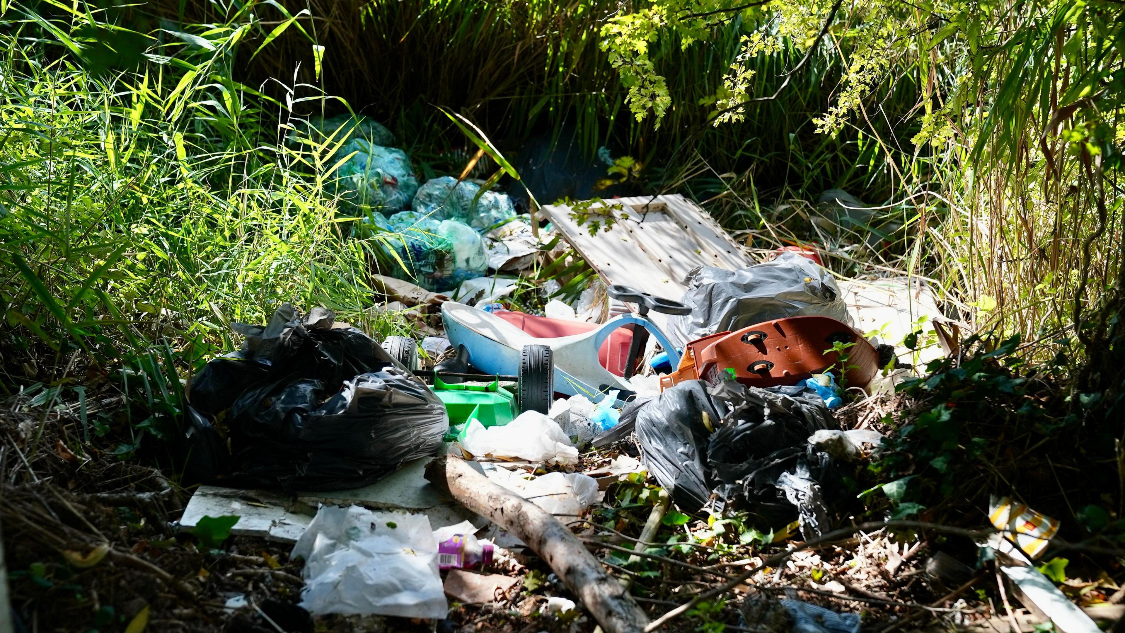 A pile of rubbish, including used nappies and children's toys have been dumped among some reeds into a waterway.