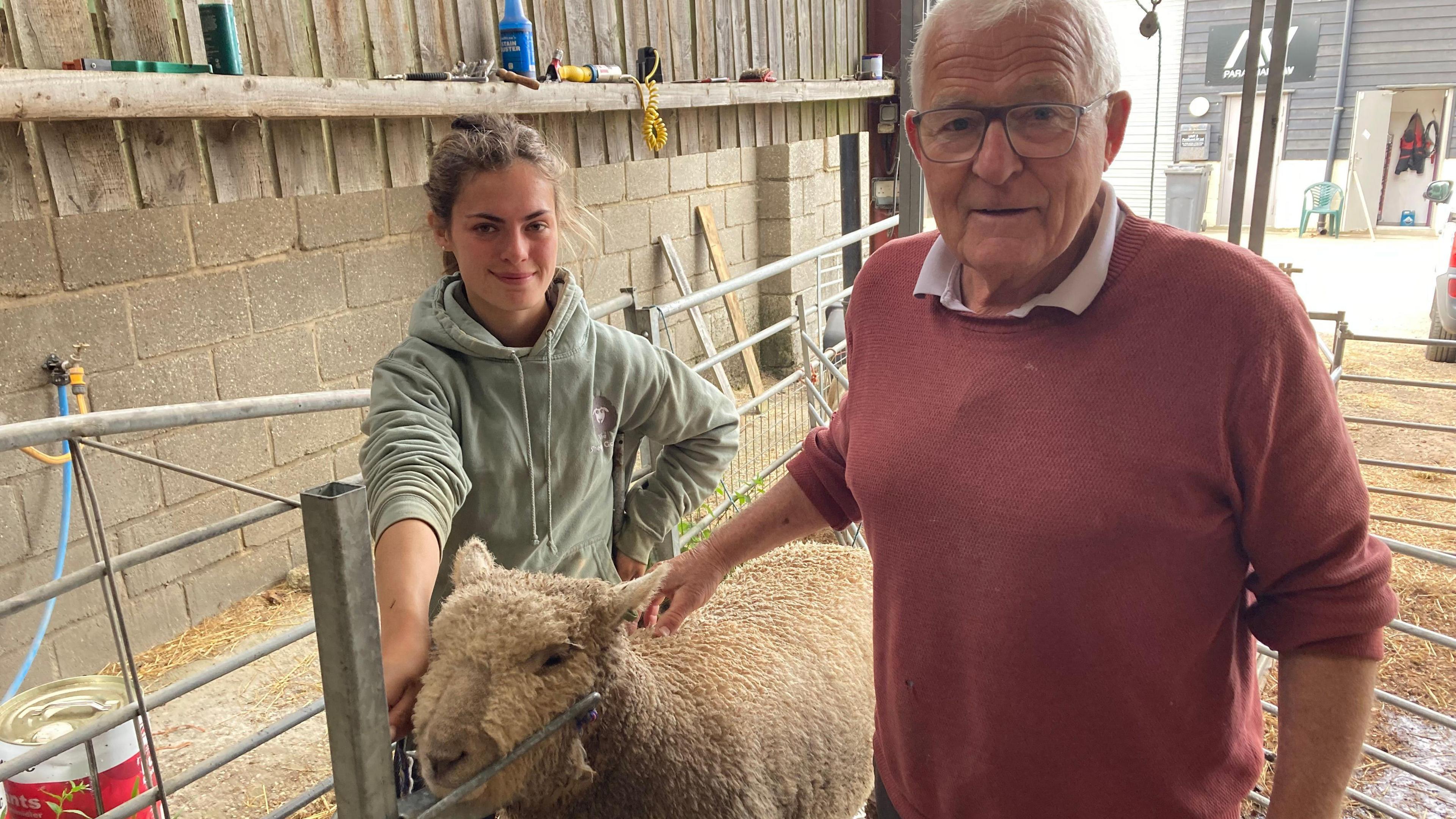 Amy Byford and Stephen Cobbald smile at the camera with a sheep stood between them. Mr Cobbald wears a red jumper with a shirt underneath and has glasses and grey hair. He rests one hand on the sheep's back.