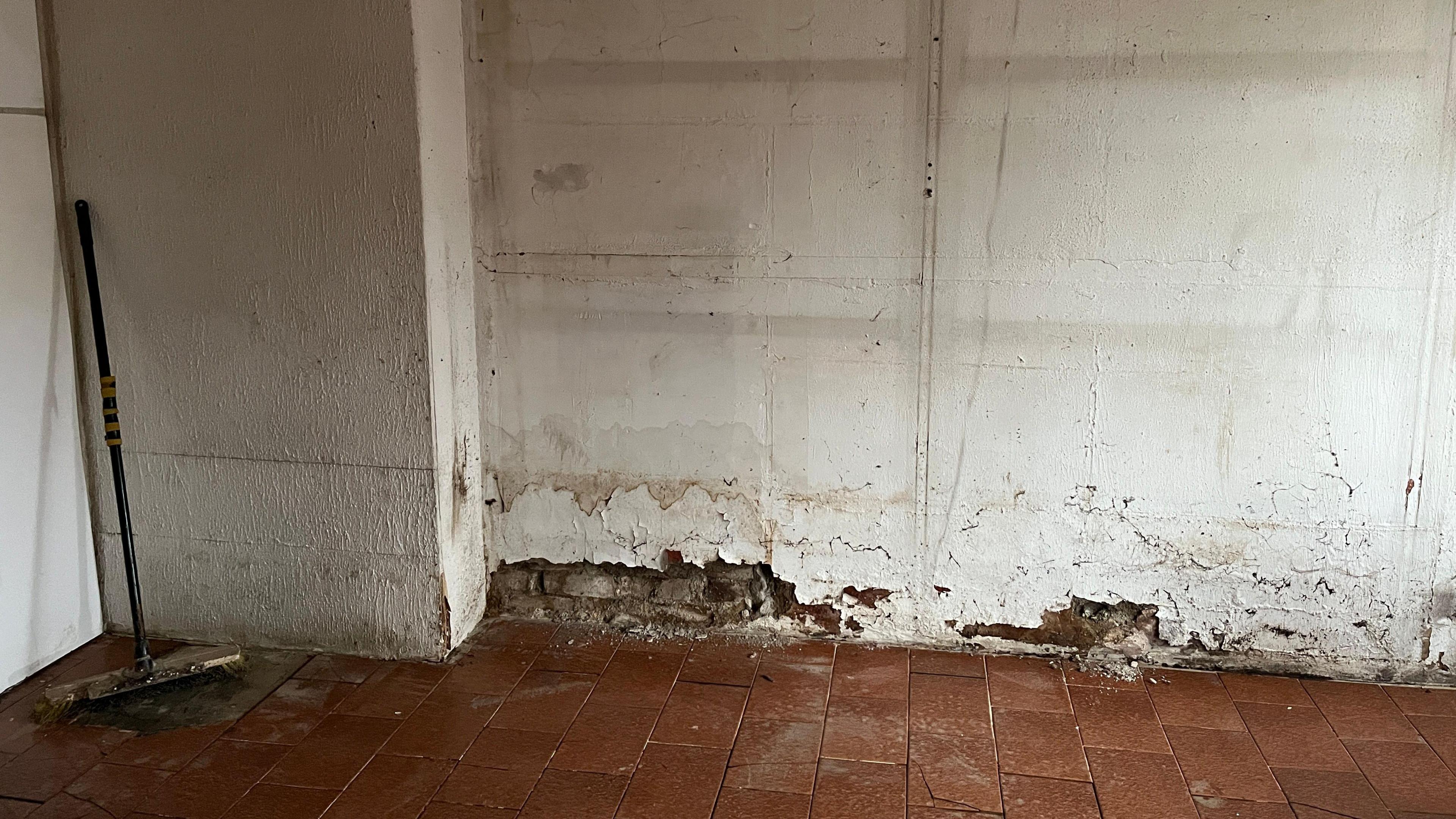 Llun o'r difrod yn y becws ar ol y llifgydd