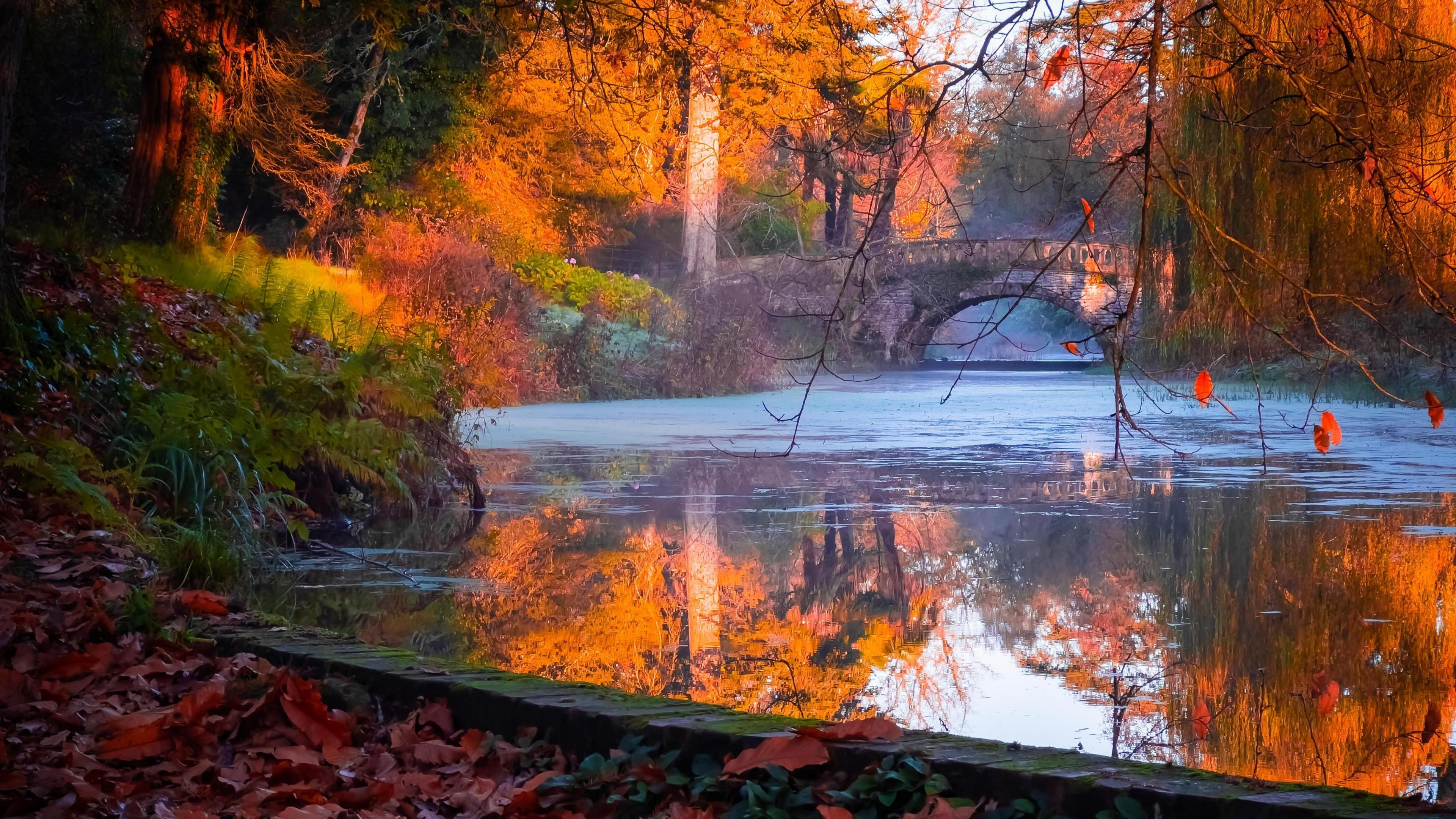 Fiery coloured autumnal trees dominate this image as the sun illuminates the orange leaves . The effect is doubled by the reflection in the still water of a pond. A stone bridge arching over the water sits between the trees.