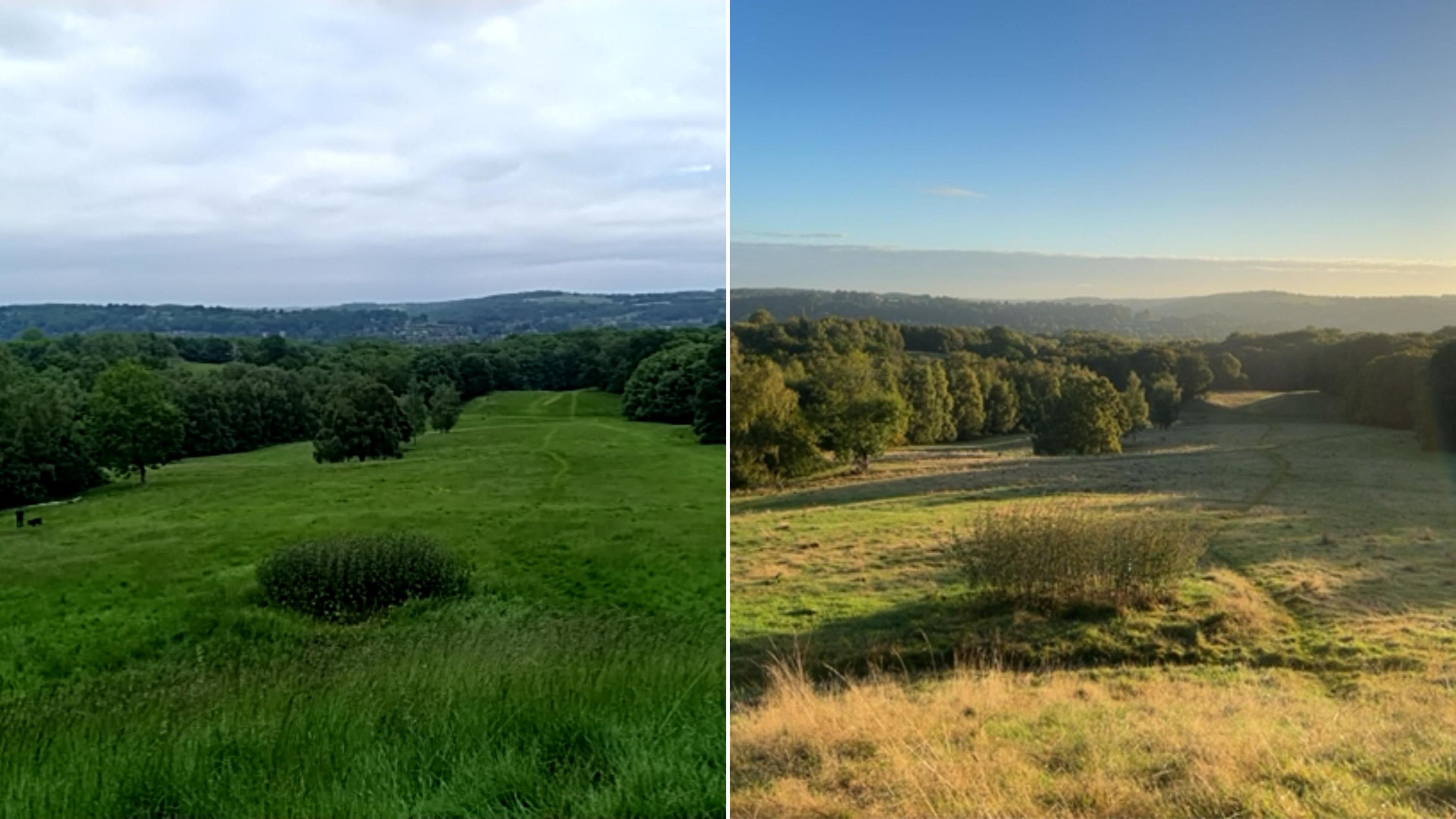 Two photographs side-by-side taken from the same spot in Allestree Park. The one on the left was taken in May, and the grass and leaves are green. The other was taken in October, and the grass is yellow, with the autumn sun shining on the park 