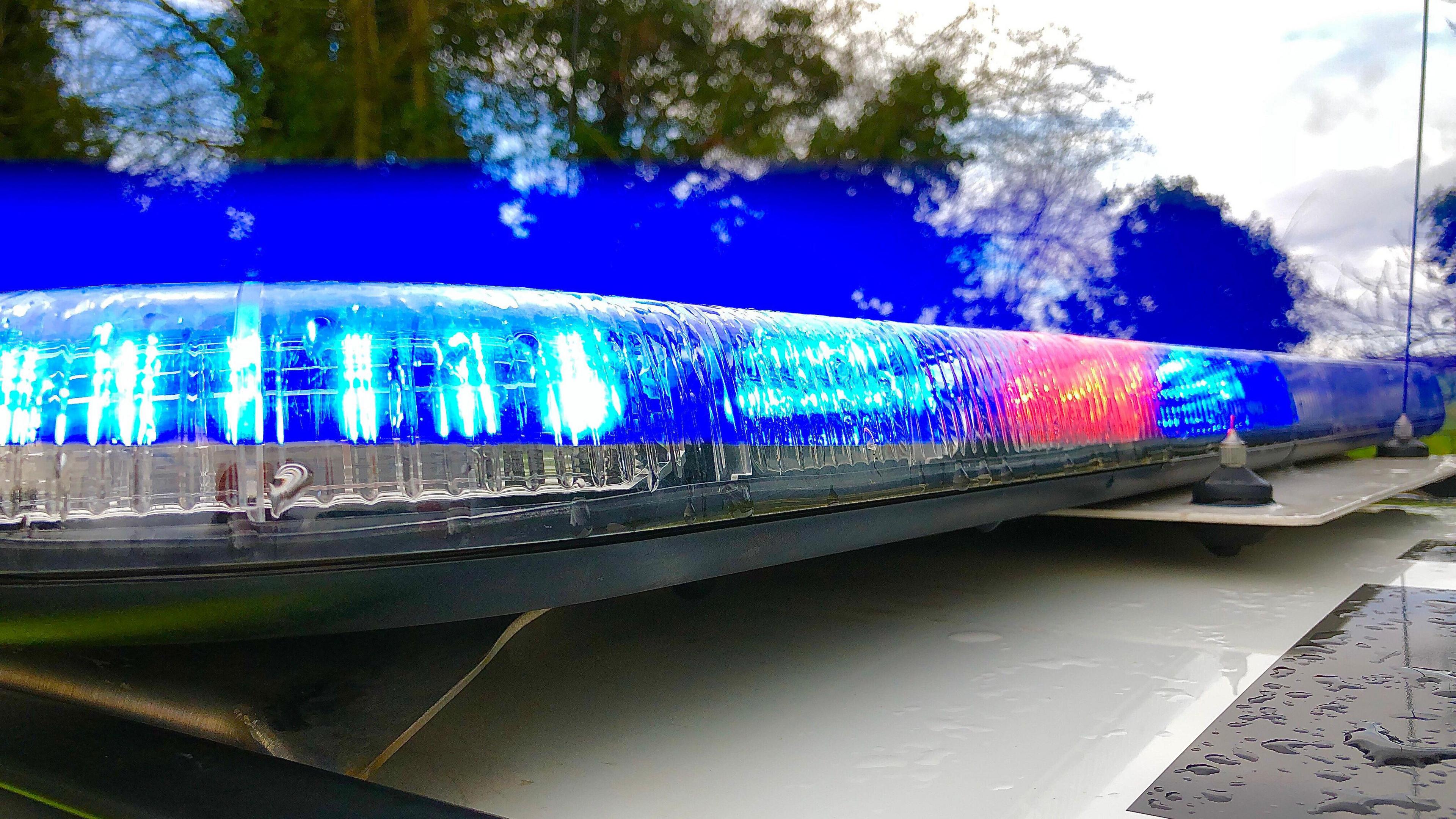 Blue lights on the roof of a police vehicle with tree visible in the background
