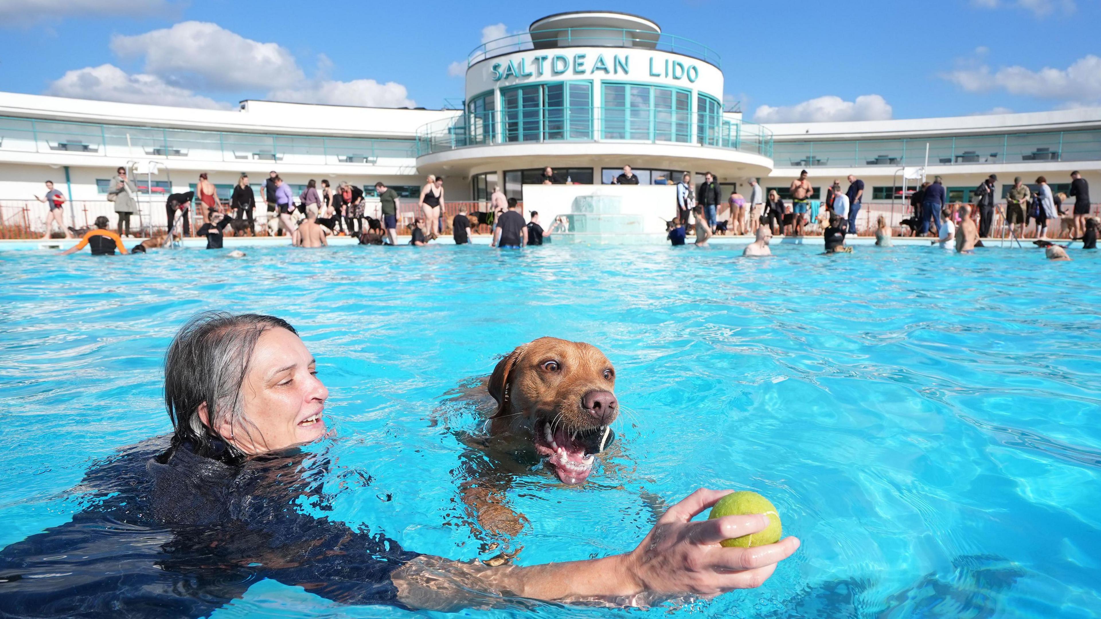 A dog and its owner in the pool