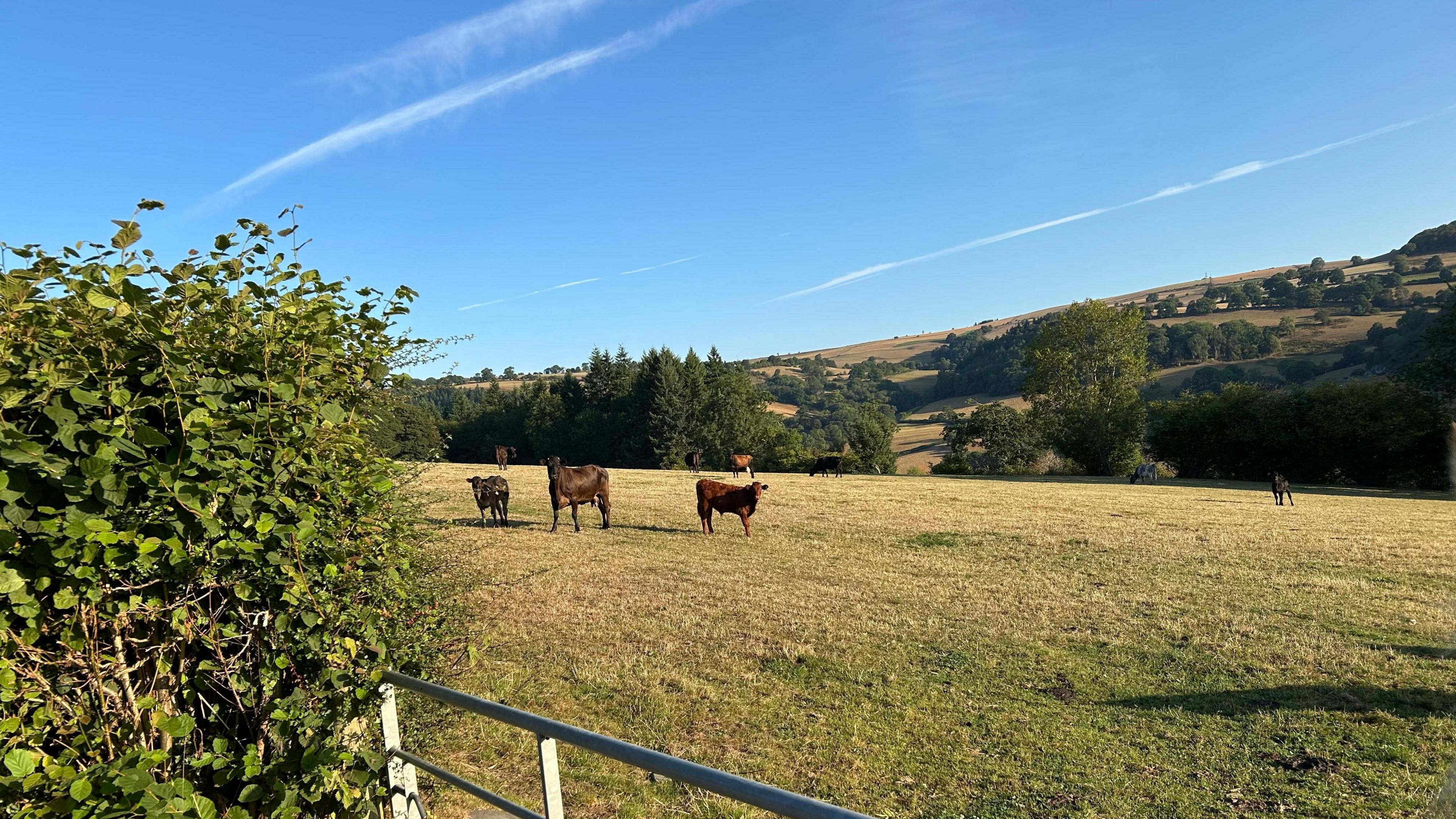 Chirk
