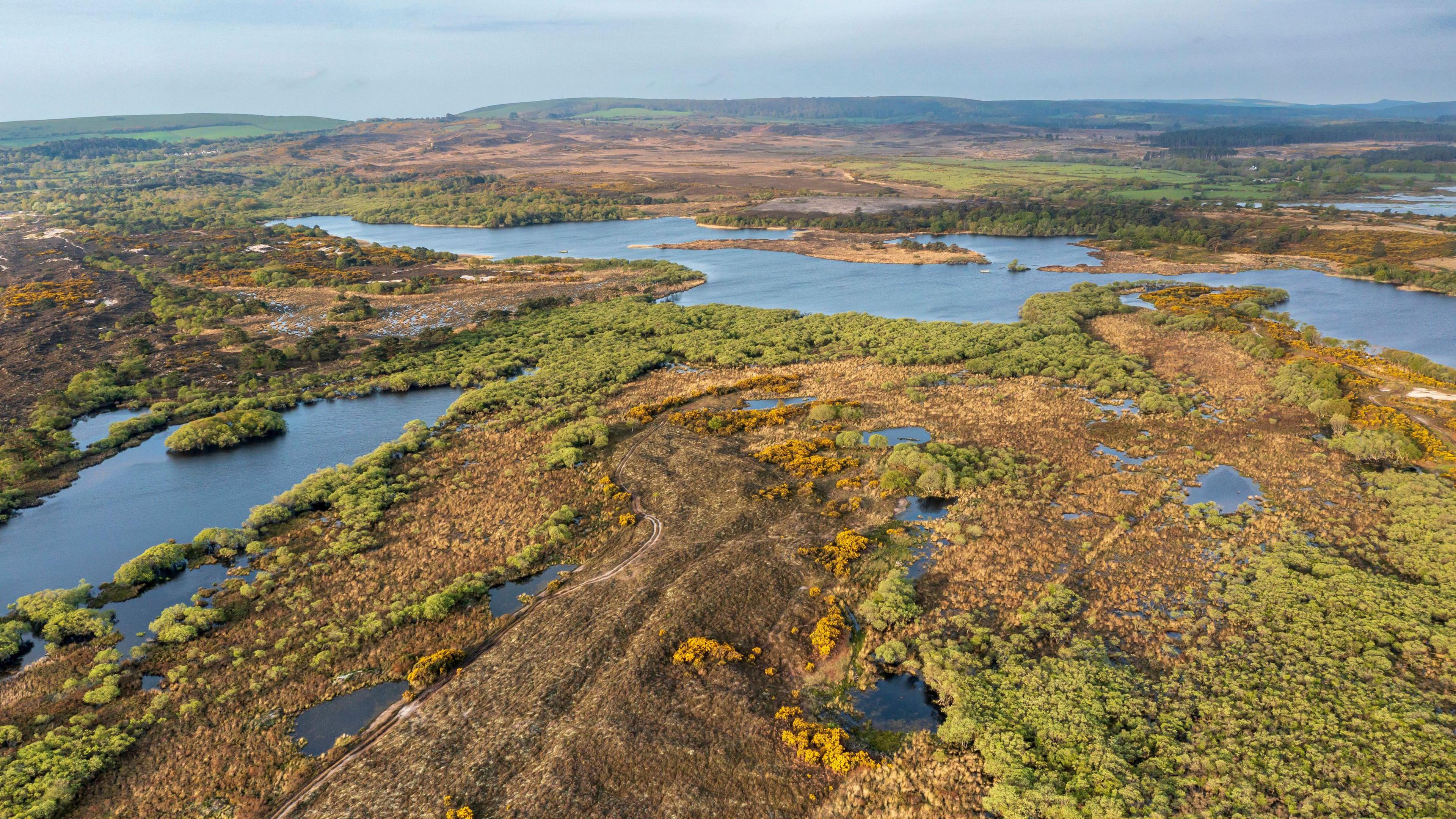 An aerial view of Studland and Godlingston Heath - green and brown heathland with small ponds of water