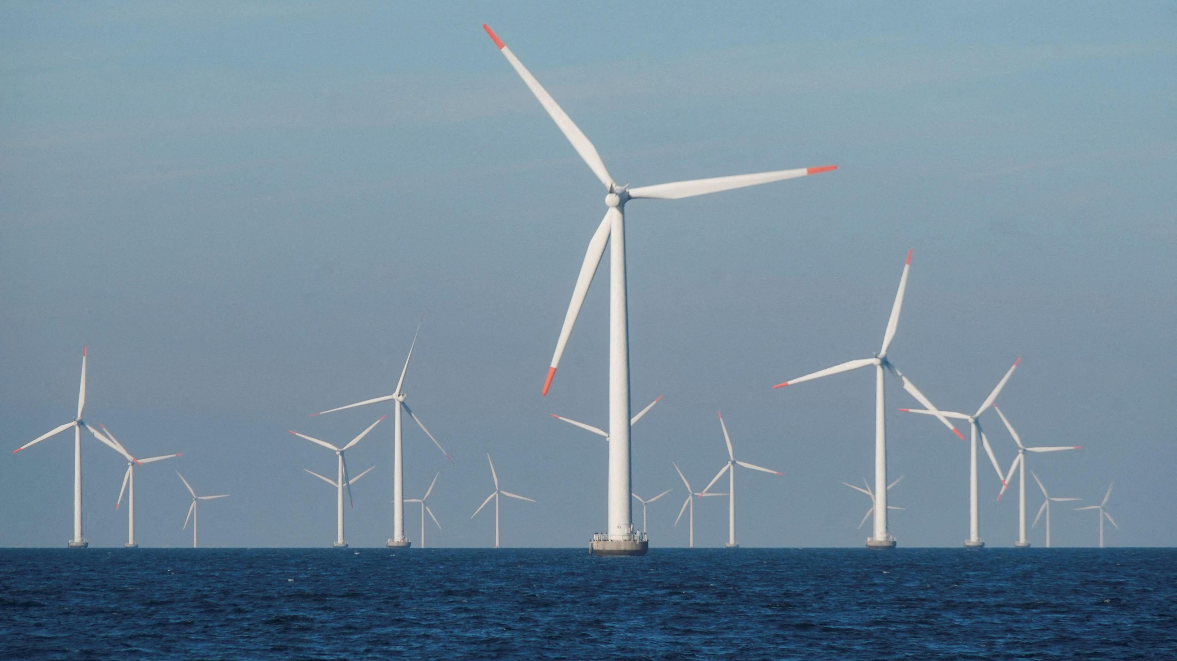 Wind farm in ocean