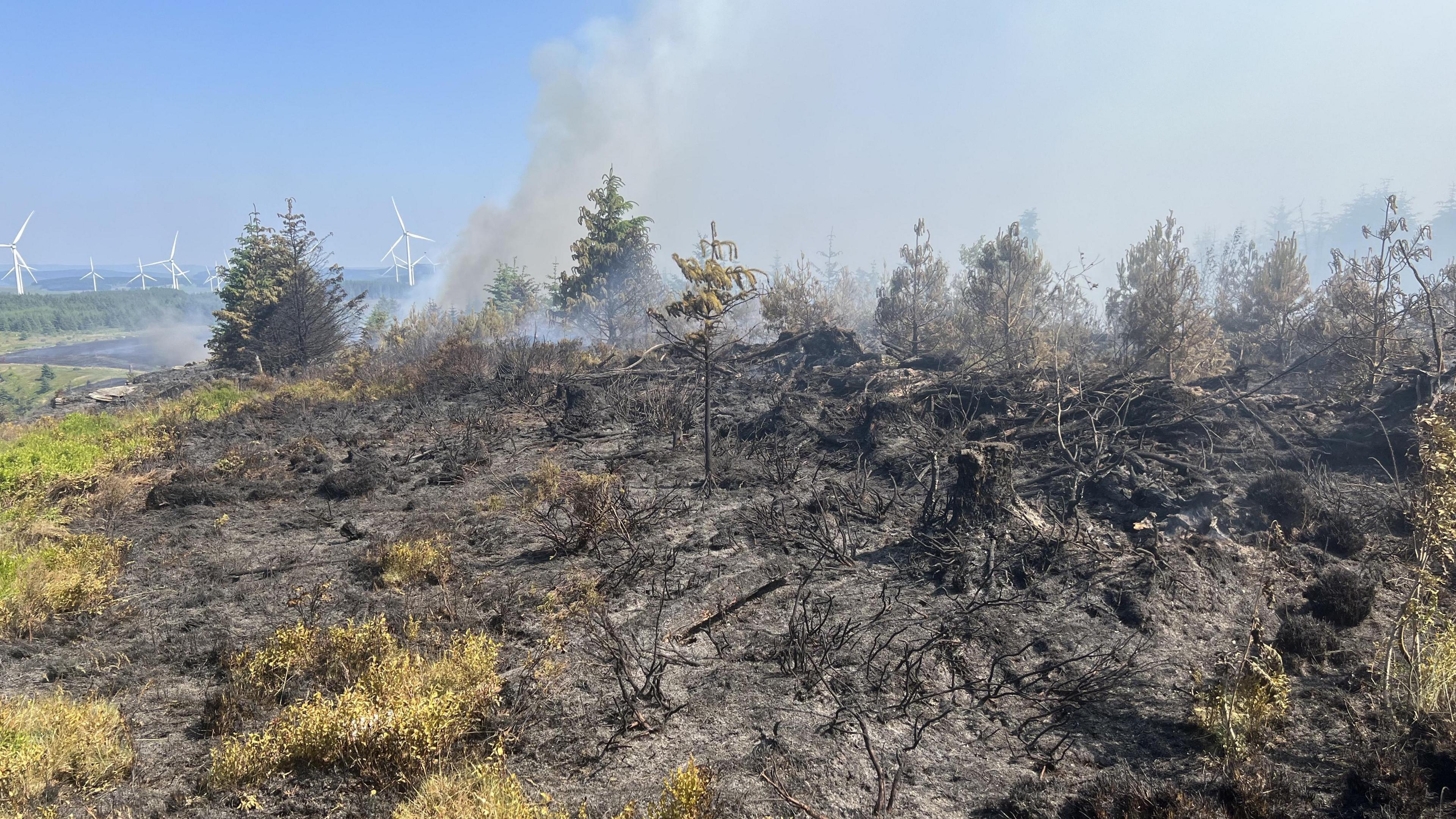 Burnt ground at Rhigos mountain