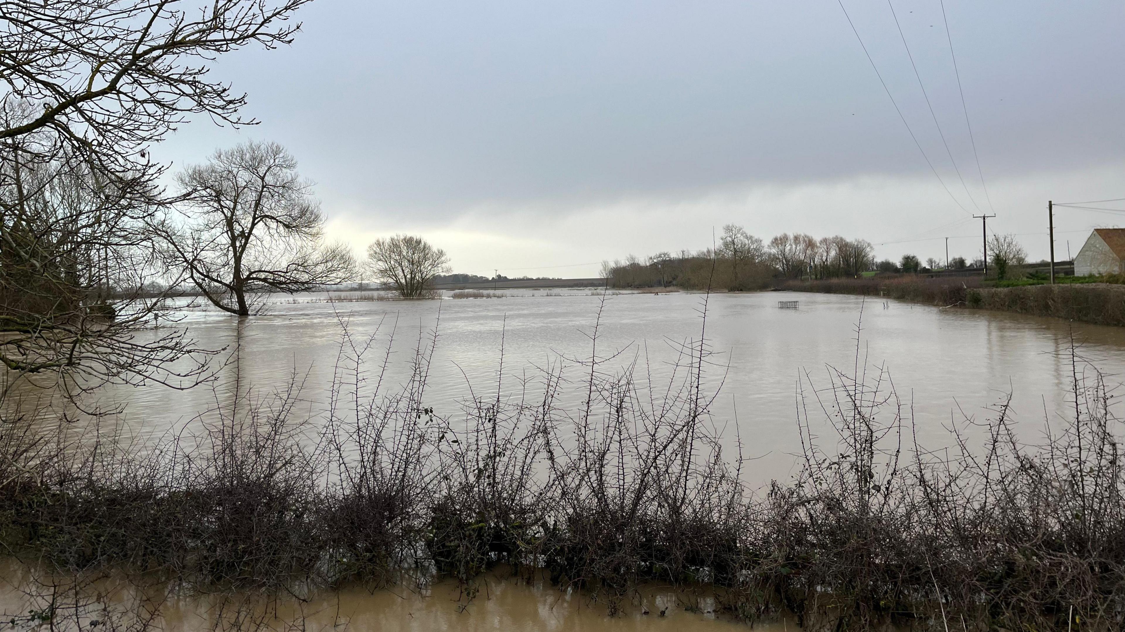 Flooded fields.