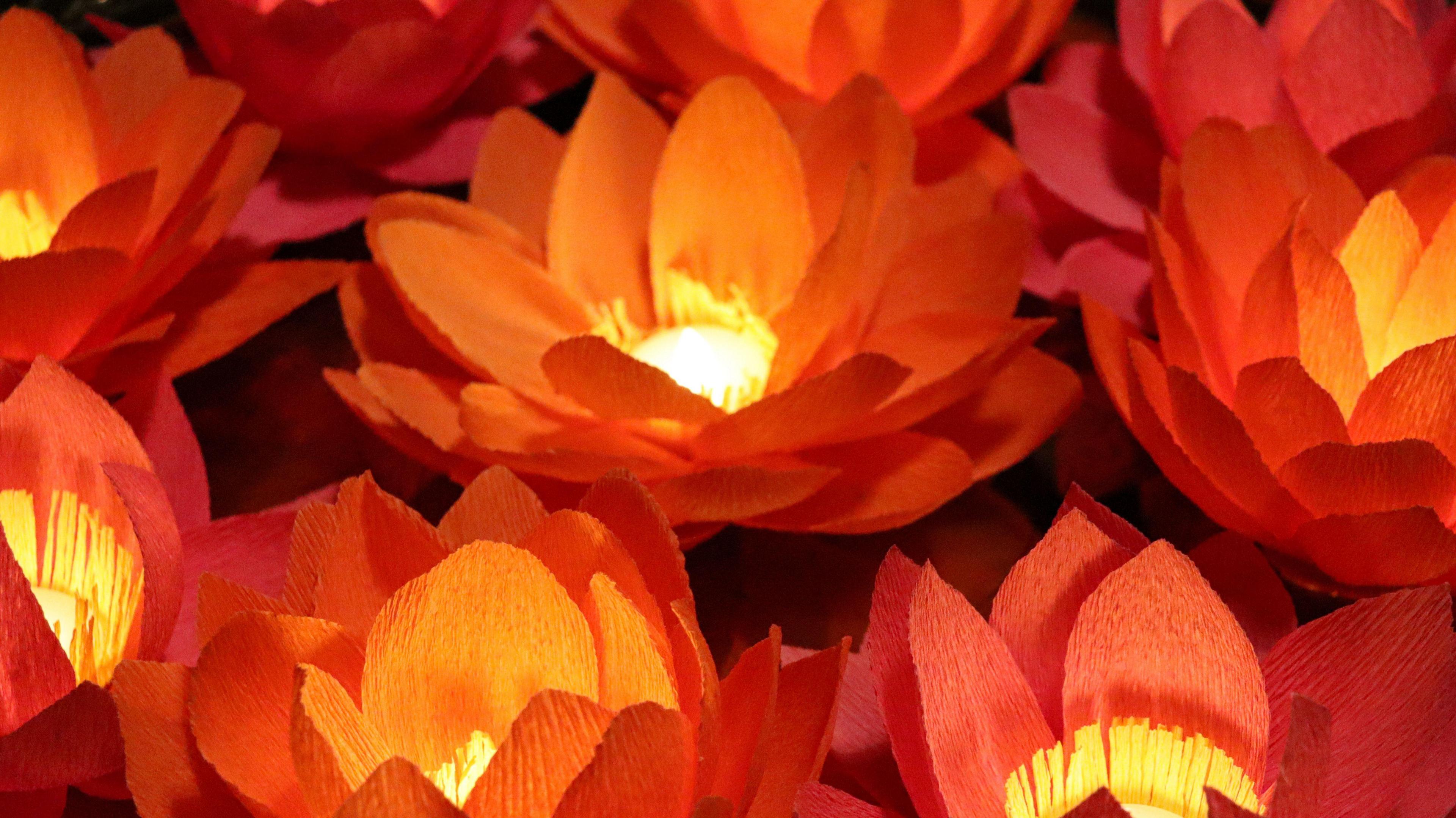 Red paper flowers clustered together, with little tea lights in the centre of each flower