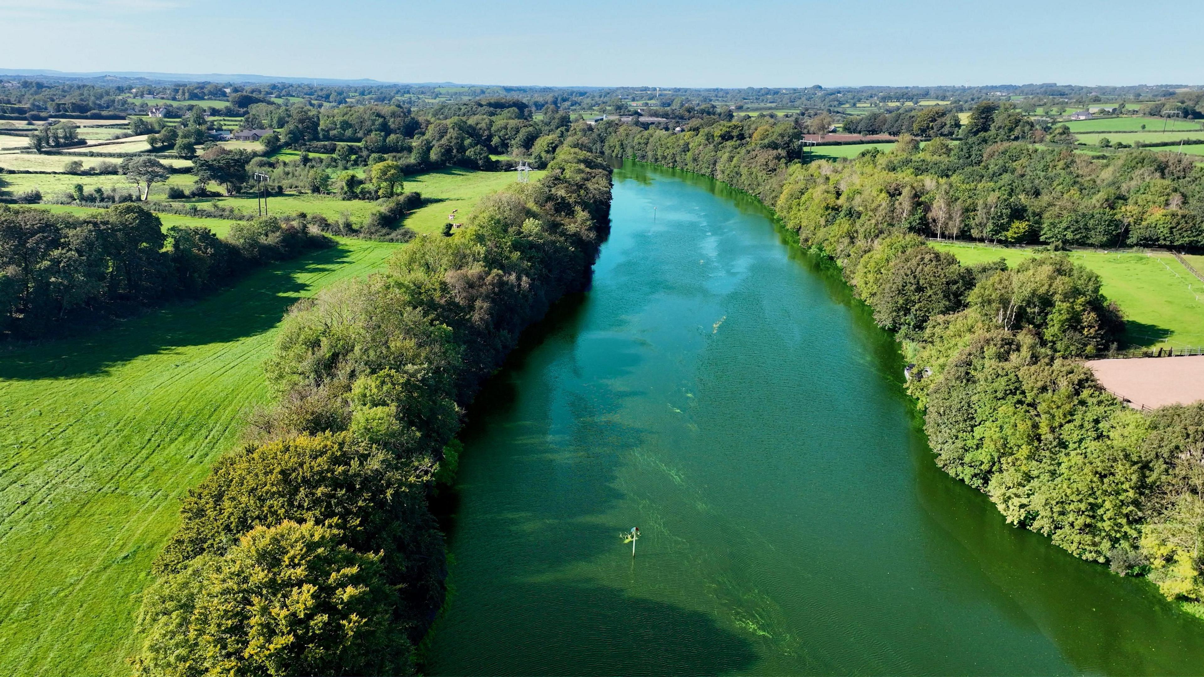 A river with green water. The river is flanked on either side by a row of trees. The sky is blue, with very few clouds. 