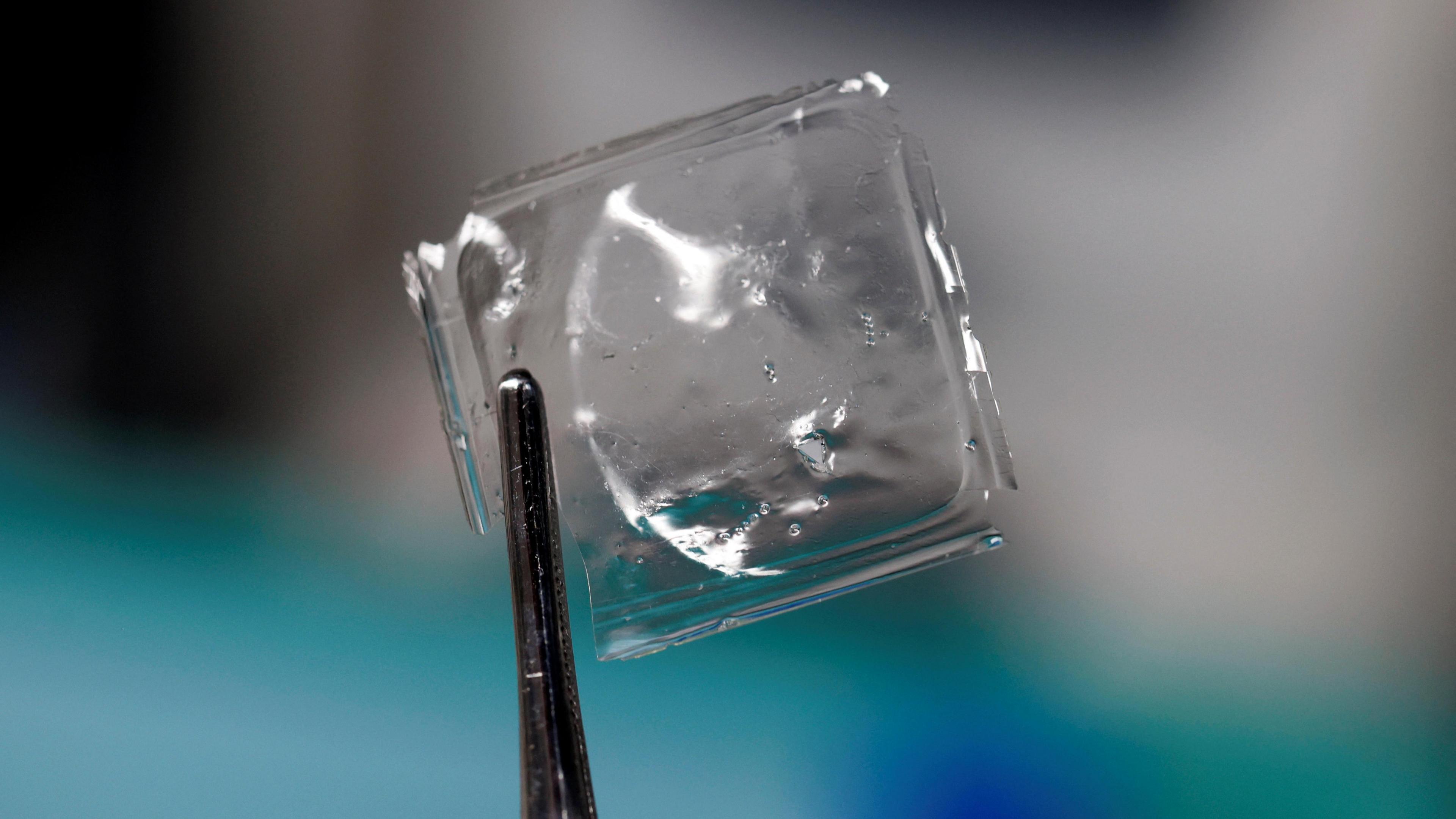 A small square sample of the ocean-degradable plastic being held up by a pair of tweezers.