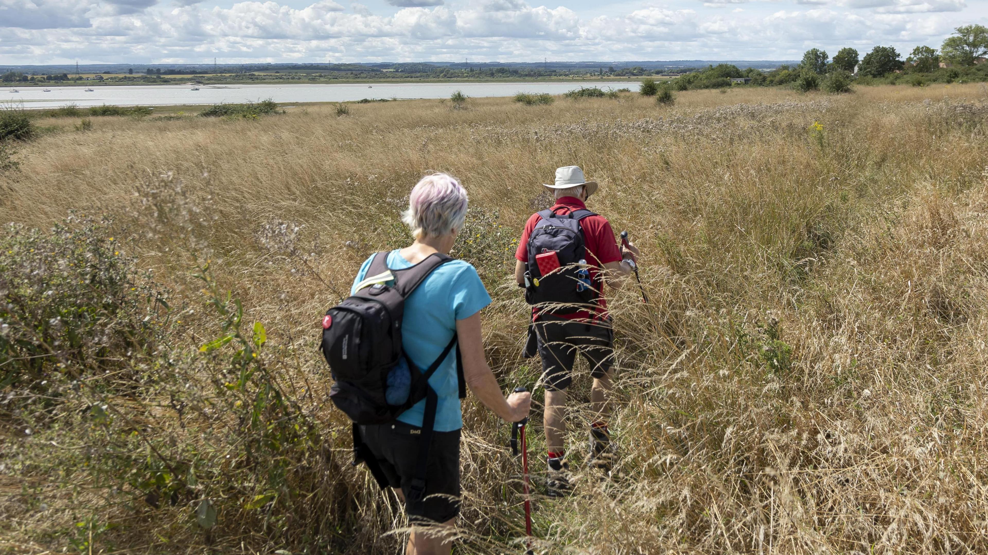 Two people with black backpacks and hiking sticks walking through tall, green and beige grass.