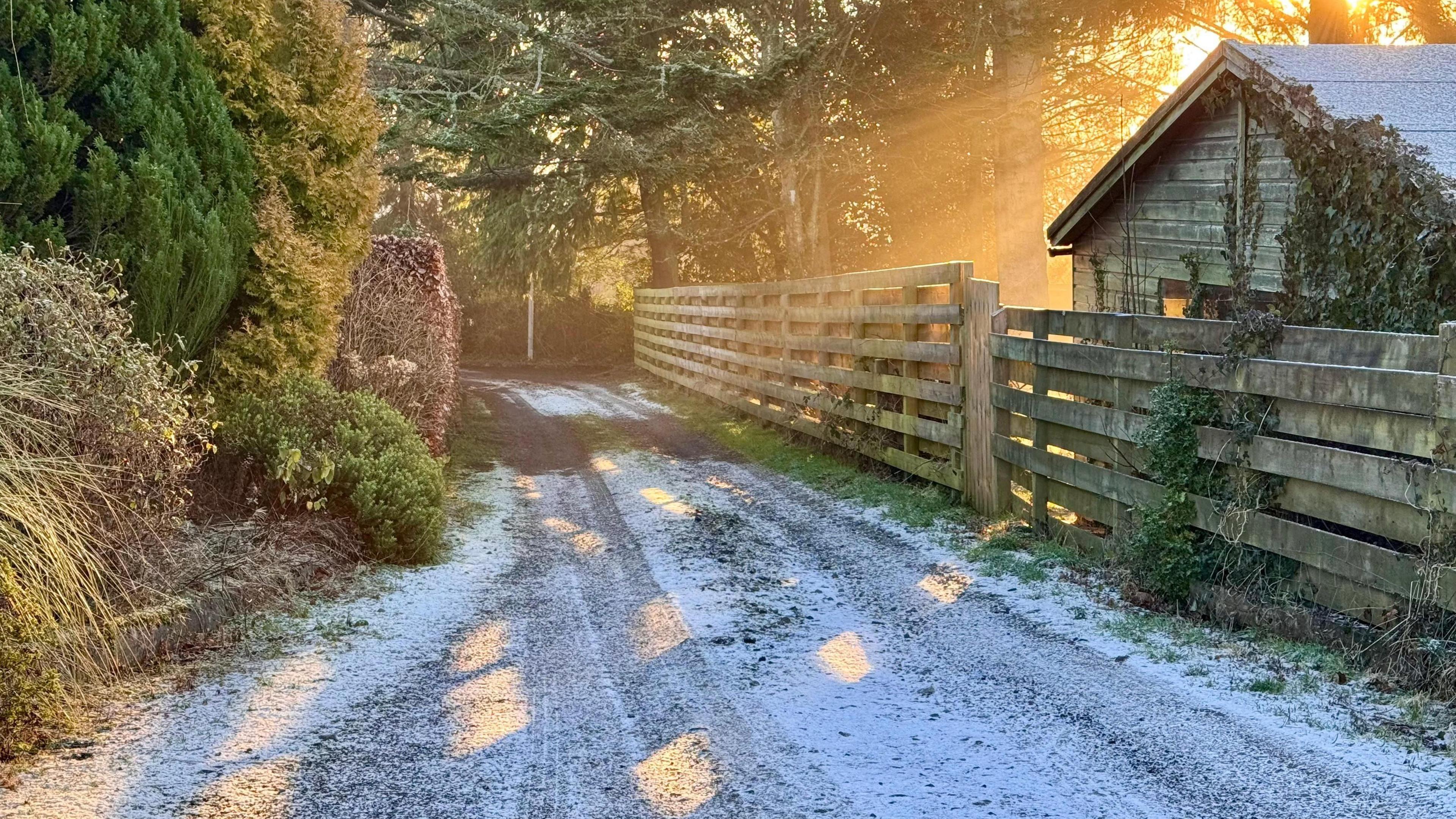 The sun shines from behind some trees on a frosty road