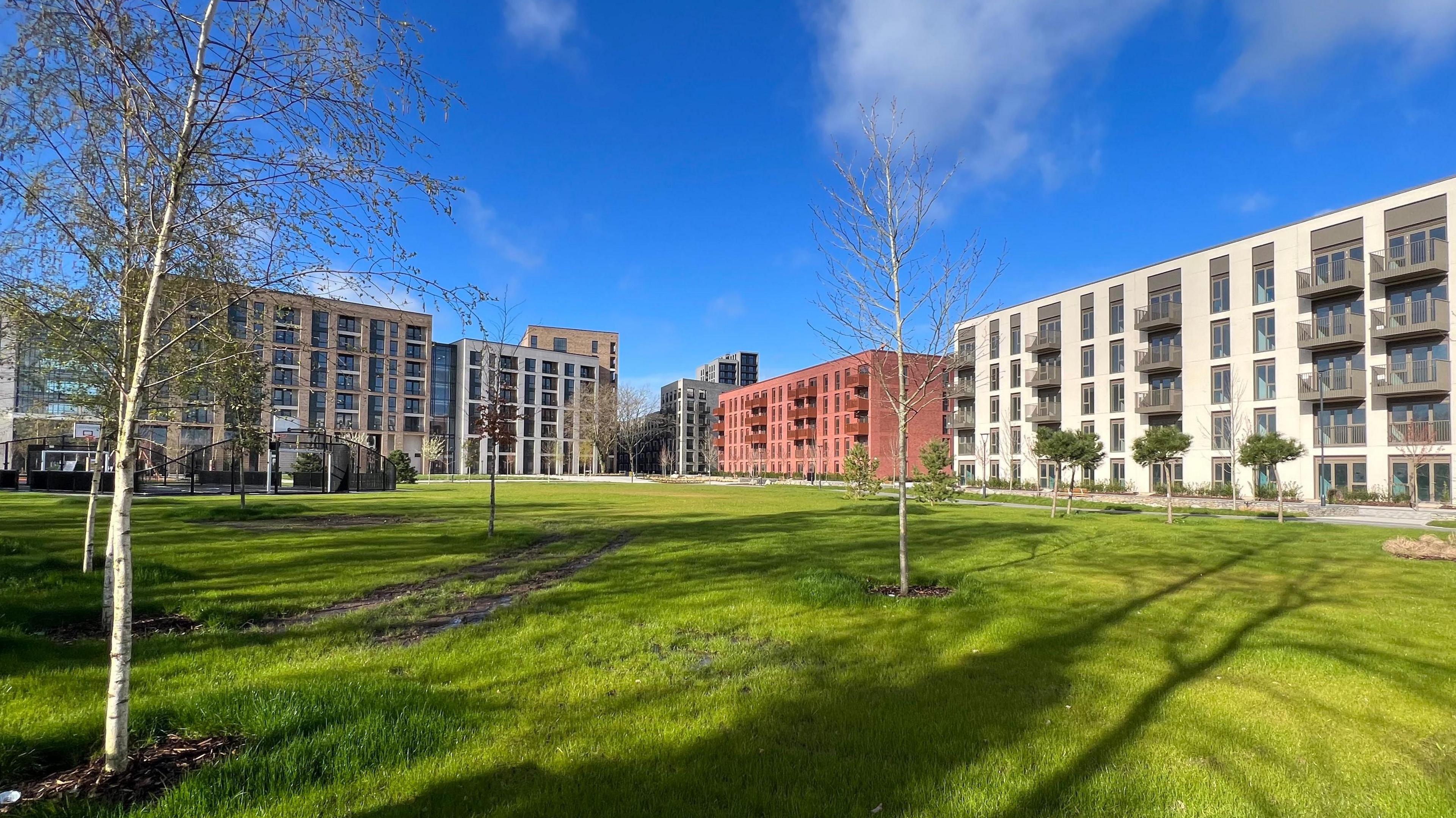 A wide view of a cluster of low rise housing blocks, which surround a large green space