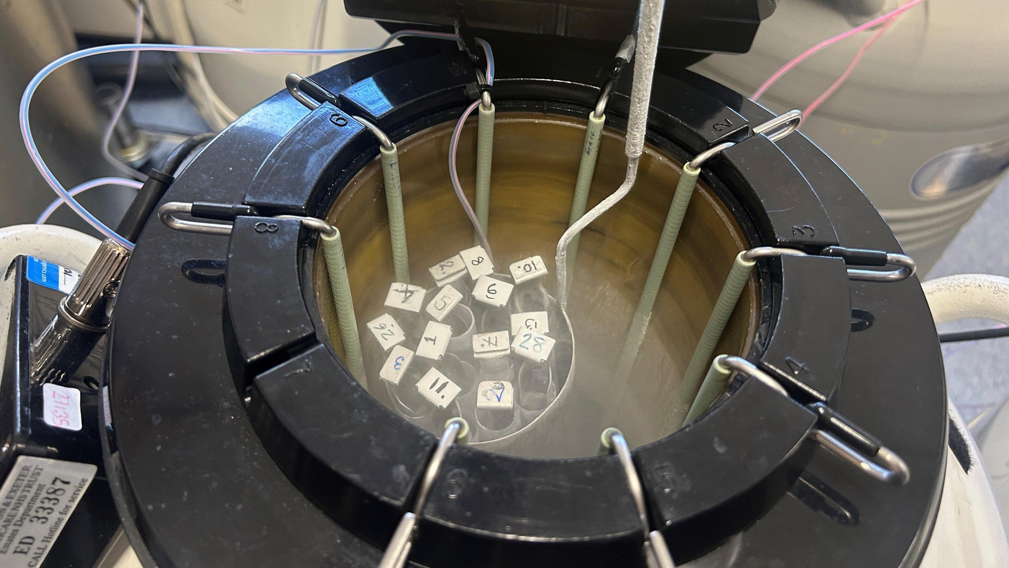 A nitrogen tank is open showing frozen embryos inside